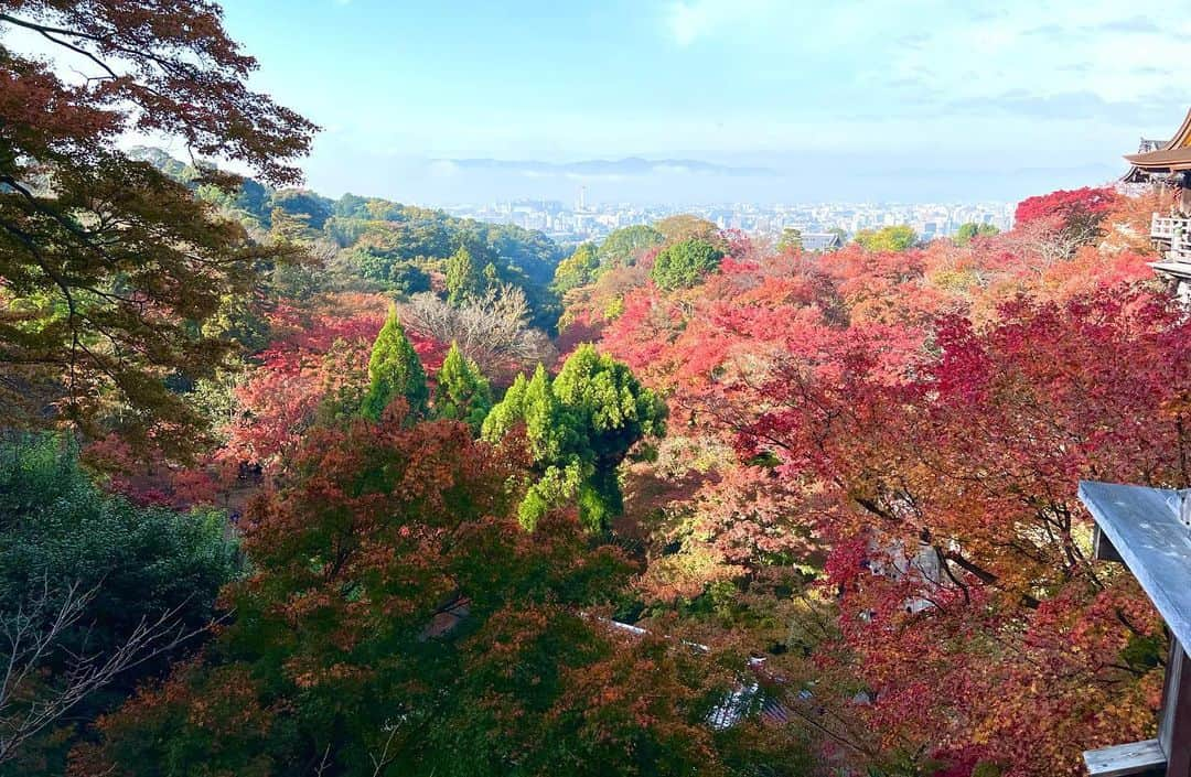 谷尻萌さんのインスタグラム写真 - (谷尻萌Instagram)「清水寺🍁  清水寺には音羽(おとわ)の滝があって 音羽の滝を清らかに流れる水という所から 清水寺という名前になったそうだよ🫧💧  今年の漢字は何になるかなあ〜🤗🖋  2022.11.22撮影📸 (3週間前の写真でごめんね🥹)  #めざましどようび #もえ予報 #京都 #清水寺」12月11日 18時06分 - tanijiri_moe