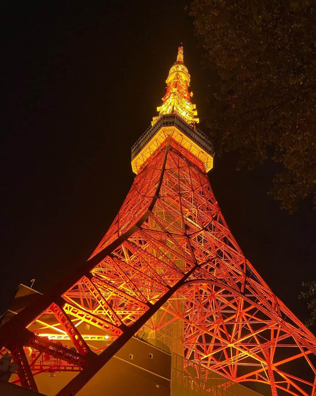 かとうれいこさんのインスタグラム写真 - (かとうれいこInstagram)「#東京タワー」12月11日 20時35分 - katoreiko_official