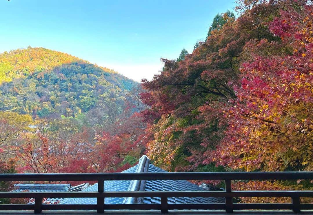 谷尻萌さんのインスタグラム写真 - (谷尻萌Instagram)「瑠璃光院🍁2022.11.22撮影  朝早い時間だと日の光が少し差し込んできて 紅葉が鮮やかに見えたわ〜🥰 神秘的だった♡  また来年以降も見に行きたいな〜^ ^  #めざましどようび #もえ予報 #京都 #瑠璃光院」12月11日 22時17分 - tanijiri_moe