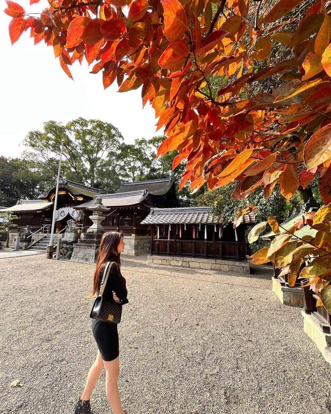 あいみさんのインスタグラム写真 - (あいみInstagram)「⛩立木神社  視界に入っていたはずなのに 見えていたはずなのに  見えなかった 見えていなかった事に気付かせてくれた場所。  ここには毎年、ご挨拶に行くのですが 今年になって初めて気が付いた場所がありました。  何年も何度も訪れてるのに  あら、こんなところあったかしら？と なんとも不思議なもんです。  見えないものが見える 見えていなかったものが見える様になる感覚というのは そういうものなのかもしれない  そこには、あるんだけど気付けてないだけ あるという認識が出来ていないだけ…かもしれない  目からの情報というのは 脳で認識されるのに0.1秒かかる 人間は、物事を認識するのに0.1秒かかるので、0.1秒後を予測して物事を見ている。という話が好きなのですが  久しぶりにその件について色々調べていると（寝ようよw）  カリフォルニア大のチームの最新研究で、  私たちの脳は、過去15秒間に見たものを統合・平滑化して、整った一つの印象にまとめ上げている。というのがわかったそうです。  要するに、リアルタイムで最新の映像だけを見るのではなく、実際にはそれ以前の映像を含めた平均化された映像を見ている。ということ  研究主任のDavid Whitney氏は、  「脳が本質的に行っていることは、先延ばし。  脳は、受け取ったスナップショットをいちいち処理するのが面倒なので、過去の情報から予測された現在の状況を作り出して私たちに見せています。  そのため、脳は過去の情報に特に重きを置いています。  私たちの知覚は基本的に、過去の情報を再利用しているのです。その方が今見たものを瞬間的に処理するよりも効率的で早く、労力もかからないからです」と、説明しています。  私たちの視覚は、周囲の世界をスムーズに知覚するため、時として正確さを犠牲にすることがあるということ。だそう  面白いですね〜、だから脳科学好きなんですよね〜。  私たちが見えている情報を脳が常にリアルタイムで更新していたら、視覚だけでとんでもない情報量となるわけです。  "見えない"というのは、人が生きやすく、気持ち良く生活する為に必要なスキルの一つかもしれないですね。  ちなみにインスタの文章というのは ほとんどの人が読んでないそうです。インスタは写真のビジュアルからの情報がメインなので  文章の内容というのはユーザーに重要視されないんですね。 なので、ここまで私の文章を読み進めた貴方はきっと私のことが大好きです😘これからも仲良くしてね🤍笑  #神社 #神社巡り  #氏神様 #shrine」12月11日 23時45分 - aimi_feti