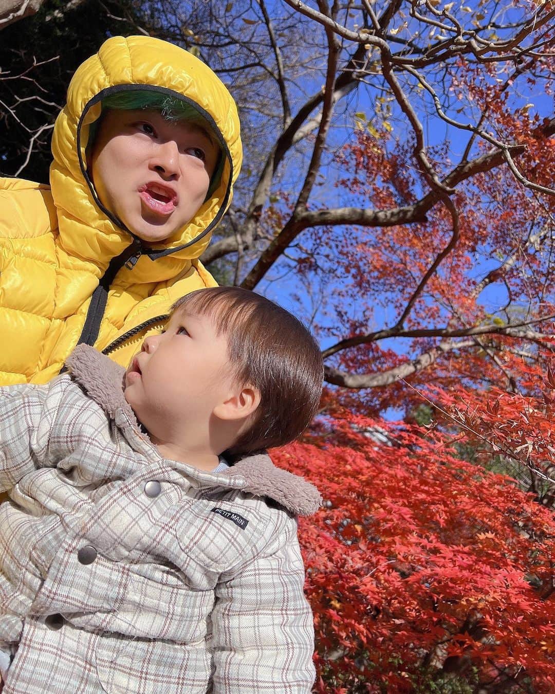 あやなんさんのインスタグラム写真 - (あやなんInstagram)「岡崎城公園にいったら超綺麗な紅葉に遭遇🍁」12月12日 17時59分 - ayachan_0619