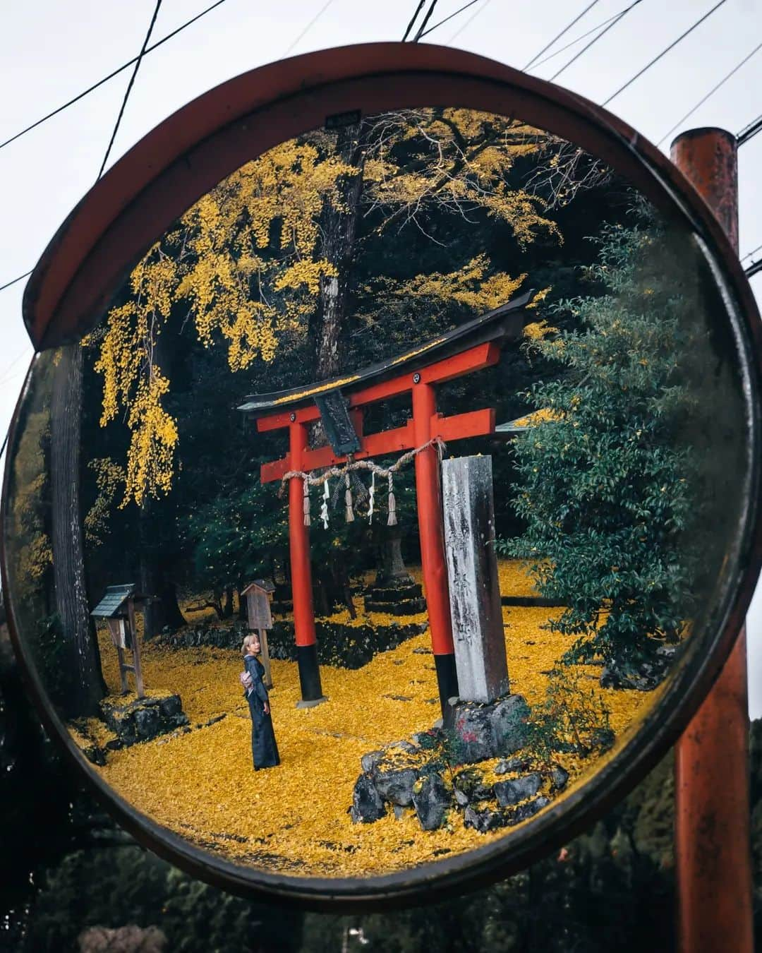 deepskyさんのインスタグラム写真 - (deepskyInstagram)「Authmn Leaves in Kyoto  . . #kyoto #authmn #kimono #京都 #秋 #紅葉 #着物 . . .  #awesomephotographers  #complexphotos  #sonyalpha  #beautifuldestinations #landscapephoto #landscapelovers #travel #roamearth #photography」12月12日 21時03分 - _deepsky