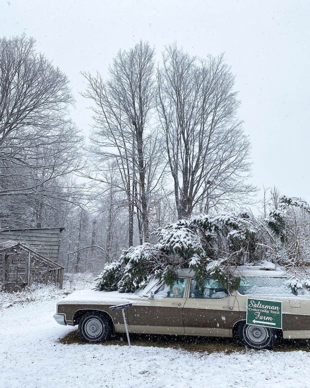 ベイカー恵利沙さんのインスタグラム写真 - (ベイカー恵利沙Instagram)「Christmas Tree Farm on a snowy day 🎄❄️❄️❄️ アップステートに引っ越してから毎年行っているクリスマスツリーファーム  今年も我が家のツリーを選んできた☃️ 雪のなか幻想的だったな 選ぶときも 帰ってからも もみの木の良い香り 今夜は飾り付けする✴︎  #christmastreefarm」12月12日 21時59分 - bakerelisa