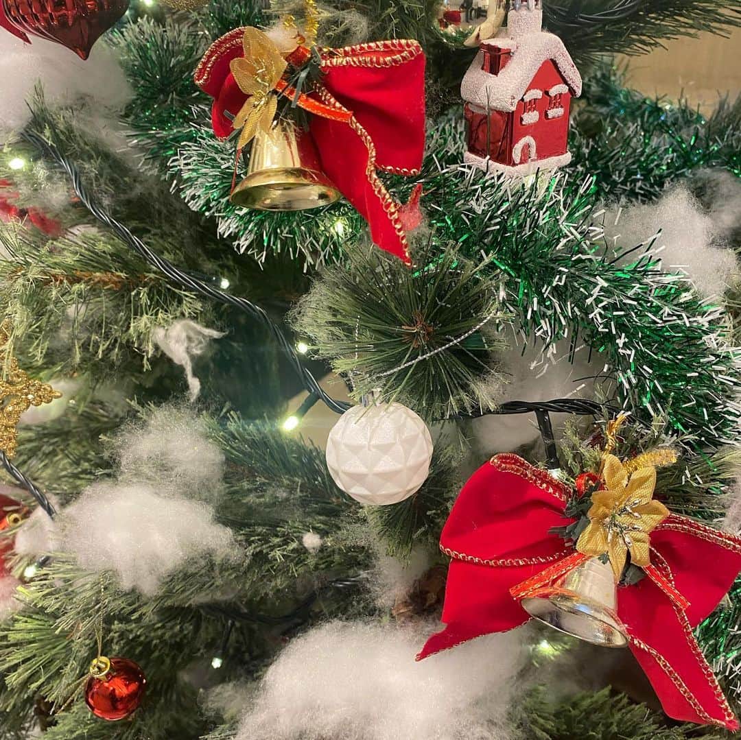 吉崎綾さんのインスタグラム写真 - (吉崎綾Instagram)「パープルニットは似合いますか？🍇　  何気に撮ったクリスマスツリーと 大好きちゃんと愛犬の交流会した時の写真です📸❤︎  ⁡ ⁡  ⁡ ⁡ ⁡ ⁡ ⁡ ⁡ ⁡  #ootd #エクステ #ロングヘア #クリスマスツリー #チワワ #ブラックタンチワワ #ブラックタン #ニット #ニットコーデ #パープルカラー #フィリピンハーフ #スペインハーフ」12月12日 22時59分 - yoshizaki_aya