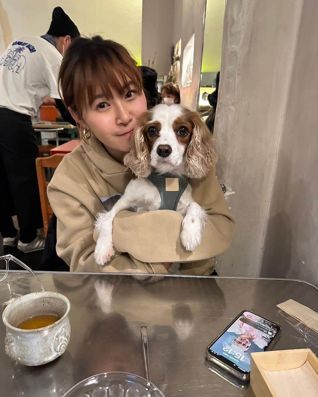 村上佳菜子さんのインスタグラム写真 - (村上佳菜子Instagram)「私の写しのような性格のViVi様🐶🌈 顔も似てきて5枚目が1番そっくりw . . . #キャバリアキングチャールズスパニエル  #3歳 #おてんば娘 #食べるの命 #食いしん坊　#お腹弱め #落ち葉追いかける #食べる #またお腹壊す #お願い #やめてくれ #散歩好き #道草さんぽ #人好き #犬も好き #他の生き物　#興味深々 #そんな娘です。」12月13日 22時10分 - kanako_m_official