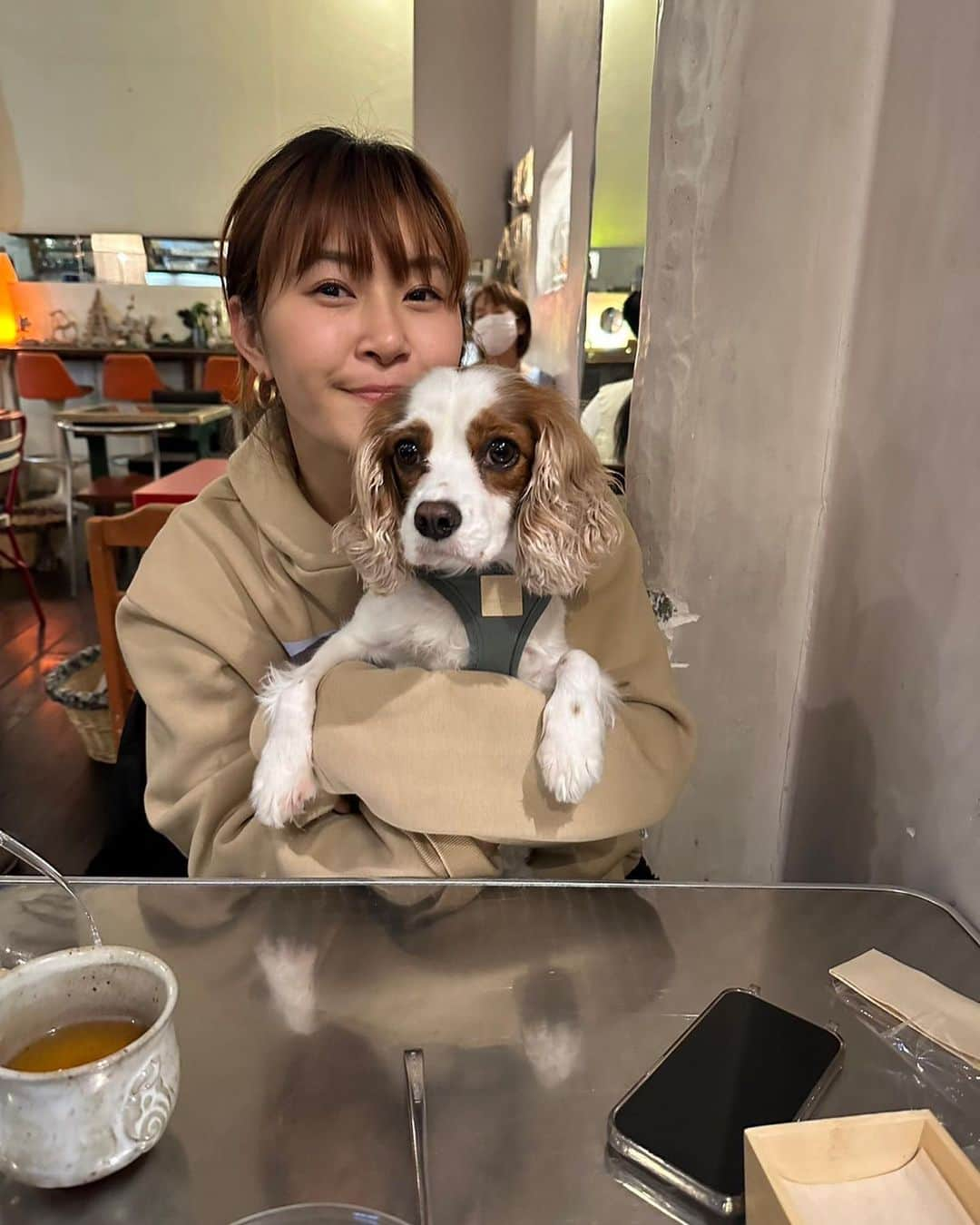 村上佳菜子さんのインスタグラム写真 - (村上佳菜子Instagram)「私の写しのような性格のViVi様🐶🌈 顔も似てきて5枚目が1番そっくりw . . . #キャバリアキングチャールズスパニエル  #3歳 #おてんば娘 #食べるの命 #食いしん坊　#お腹弱め #落ち葉追いかける #食べる #またお腹壊す #お願い #やめてくれ #散歩好き #道草さんぽ #人好き #犬も好き #他の生き物　#興味深々 #そんな娘です。」12月13日 22時10分 - kanako_m_official