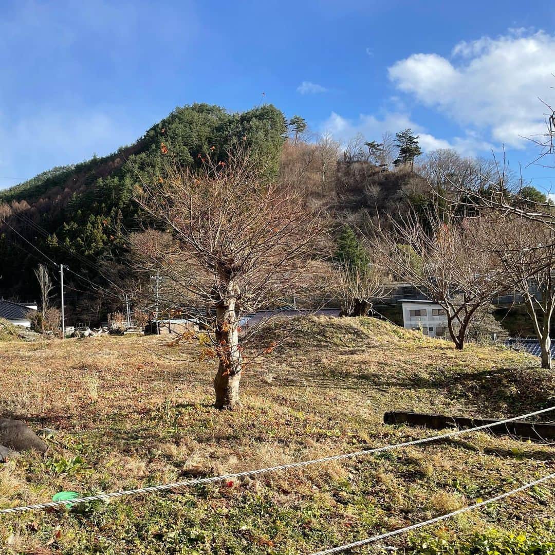 田中律子さんのインスタグラム写真 - (田中律子Instagram)「曽祖父の土地ーーー⛰  山の家を建てるために、現地調査ーー☝🏼私が中学生から空き地のまんまのこの土地…亡きおばぁちゃんとの約束で、家を建てることに決め、色々打ち合わせをしてます🤩  沖縄の家のリノベーションのデザインをやってくれた岩さん　@kenichiroiwakiri 山の家も岩さんとあーでもないこーでもないと、私の理想を詰め込んでもらいます😍  お家はGLホーム🏠　@gl_home_fc  アメリカンホームを建てる予定です❤️  暖炉にサウナにブランコ❗️夏も冬も遊べる別荘を建てるぞっ🏠 おばーちゃん、パパ、天国から見ててねーーーーー🙏🏼  #山の家  #別荘建てます #glホーム  #アメリカンホーム  #おばぁちゃんとの約束 #ご先祖さまの土地」12月14日 17時19分 - ri2kotanaka