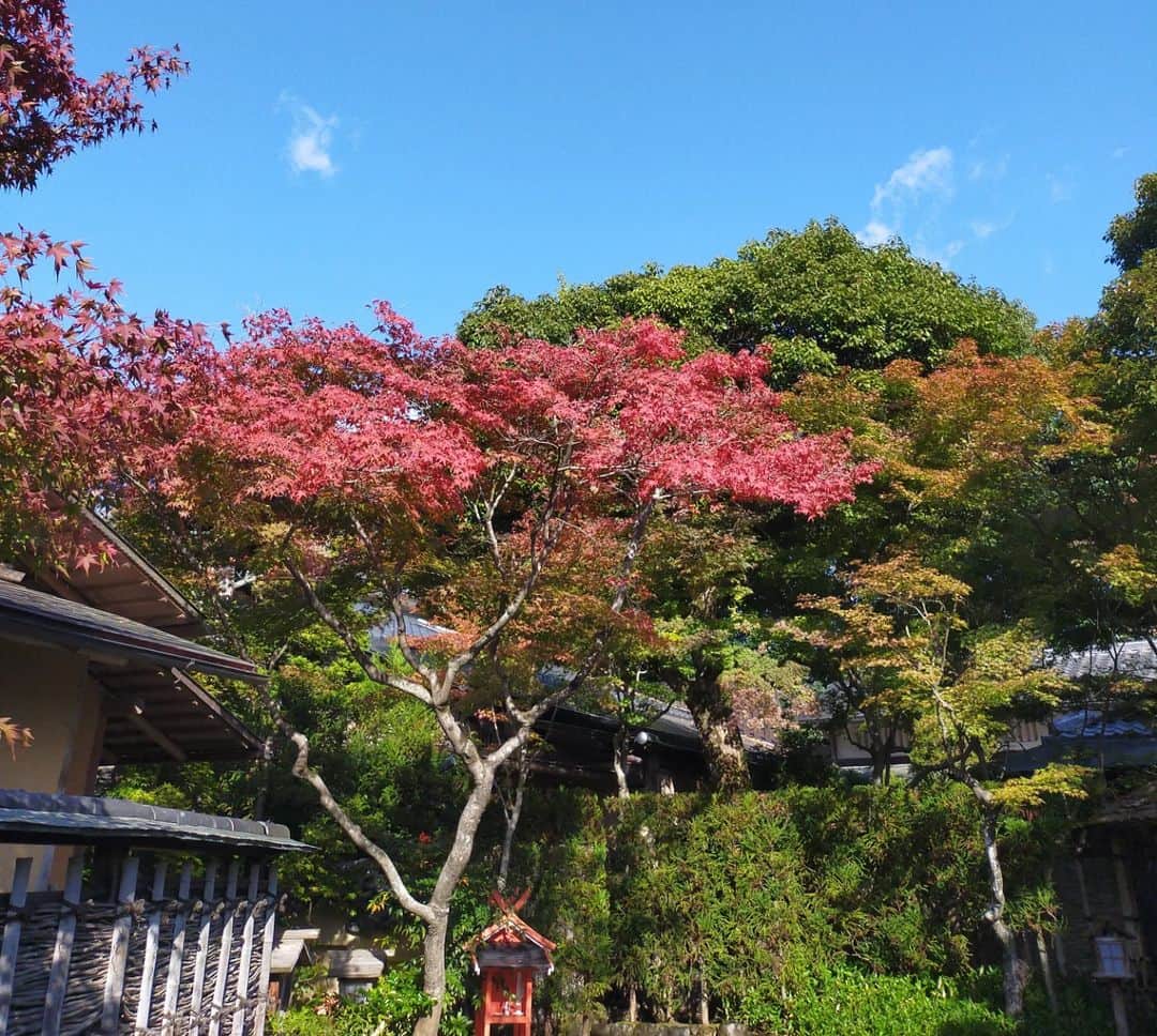 常盤貴子さんのインスタグラム写真 - (常盤貴子Instagram)「本日20:00~20:54 BS11にて 京都画報  第15回目は「初冬の嵐山から祇園へ　ー小さな美術館ー」  素敵な美術館を巡らせていただきました✨ こんな京都の過ごし方もよき♫  久しぶりに復活した私のお薦めカフェのコーナーは…「築地」さん！！！  スゴイ！！！ 嬉しい！！！ 素敵ぃ！！！  築地さんで撮影中、昔からコーヒー豆を買わせてもらっている玉屋珈琲店の焙煎担当・岩田くんが、発売されたばかりのご著書を持ってきてくださいました✨  お家で焙煎…憧れますっ。 ありがとうございます！！やってみる〜♫  @bs11_kyoto  #京都画報   @fukuda_art_museum  @kyotokitcho_official  #京都花鳥館  #鍵善良房   #喫茶築地  @tamaya_coffee  #手網でかんたんコーヒー焙煎」12月14日 19時08分 - takakotokiwa_official
