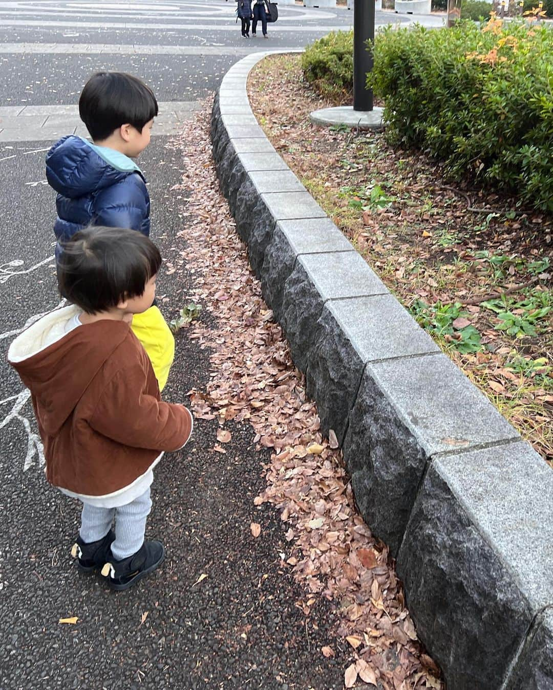 安田美沙子さんのインスタグラム写真 - (安田美沙子Instagram)「体操終わりに公園✨  最近、ふたりとお出かけできてなかったから、公園で走り回ってもらいたくて。  同時に私も自然の空気を吸いたかった✨  早速カマキリを捕まえたかあちゃん。逃げ惑う息子たち。 捕まえてって言ったやん。笑  兄弟でひいてるよね。  カマキリも、めっちゃ睨んでくるし😭  黄色の絨毯で遊んで帰宅。  ワンオペだから、私も余裕なく、 2人の喧嘩からの、次男の昼寝不足のぐずり、からの晩ごはん嫌いなものから食べる発言に、カチンときてしまった。  3人とも疲れてたんだな。 公園もいったし。 もうお風呂諦めてベッドです。  ニコニコ公園からの、大げんか。  明日はどうか、どうか、リセットされますように！！  #カマキリ #ありがとう #冬 #公園 #brothers #mens #mama #散歩 #久々のふたり」12月14日 19時35分 - yasuda_misako