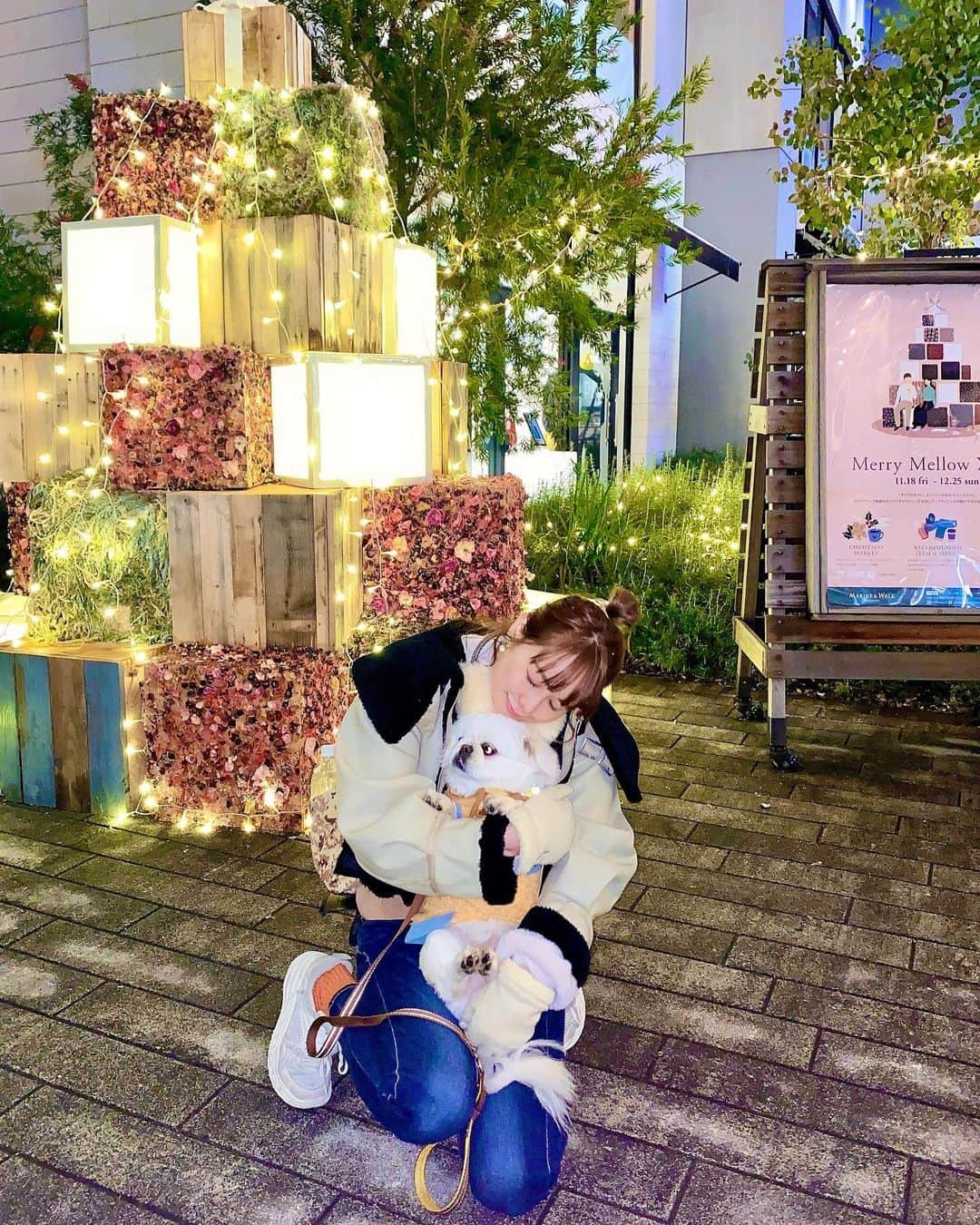 日向カンナさんのインスタグラム写真 - (日向カンナInstagram)「めぐとロケ撮影で横浜へ🎄 世はクリスマスモード！めぐはルンルンで、お散歩しておりました☺️トラベル動画サイトでアップされるのを、待っててね🤗  「親バカ」な私☺️ リュックに入れて、お顔だけ出して移動をしてると「可愛い〜🥰」の連呼を沢山の方が言ってくれます♡  そうなんです、、、可愛すぎるんです。私なんて毎日一緒にいるはずなのに、毎日愛おし過ぎて、ギューっとなる毎日です🥹✨  朝起きたら、毎日おはよう〜ってお顔にご挨拶してくれて🐶 仕事中もお尻をくっつけて隣に居てくれて🐶 お散歩の変な動きも面白くて🐶 おかえりは毎日玄関にお出迎えでハグして〜って来てくれる♡  お風呂もバリカンも嫌がらず、良い子に一緒にいてくれて。  ずっっと愛おしい赤ちゃんめぐたんのおかげで、心が優しく豊かでいられます🌼  東京で犬を飼うって、自分だけでも大変なのに大丈夫かな？って心配だったけど、今はめぐの為に頑張れてるなって、凄く思わせてもらってる☺️✨ めぐのおかげで優しい気持ちでいられるよ。  家族がいるって幸せだな🌼 犬だけど、もう赤ちゃんだよ本当👶  #犬のいる暮らし #犬バカ部 #犬好きな人と繋がりたい #犬のいる生活 #ペキニーズ #ペキニーズ大好き #白ペキ #dog #横浜 #みなとみらい #yokohama #イルミネーション #イルミネーション2022 #東京 #tokyo #東京観光 #love #モデル #モデル募集 #大人可愛い #大人女子 #大人カジュアル #followme #ダンサー　#instagood #タビジョ #japan #笑顔が一番 #エンターテイナー #ありがとう」12月14日 21時41分 - kanna_hinata