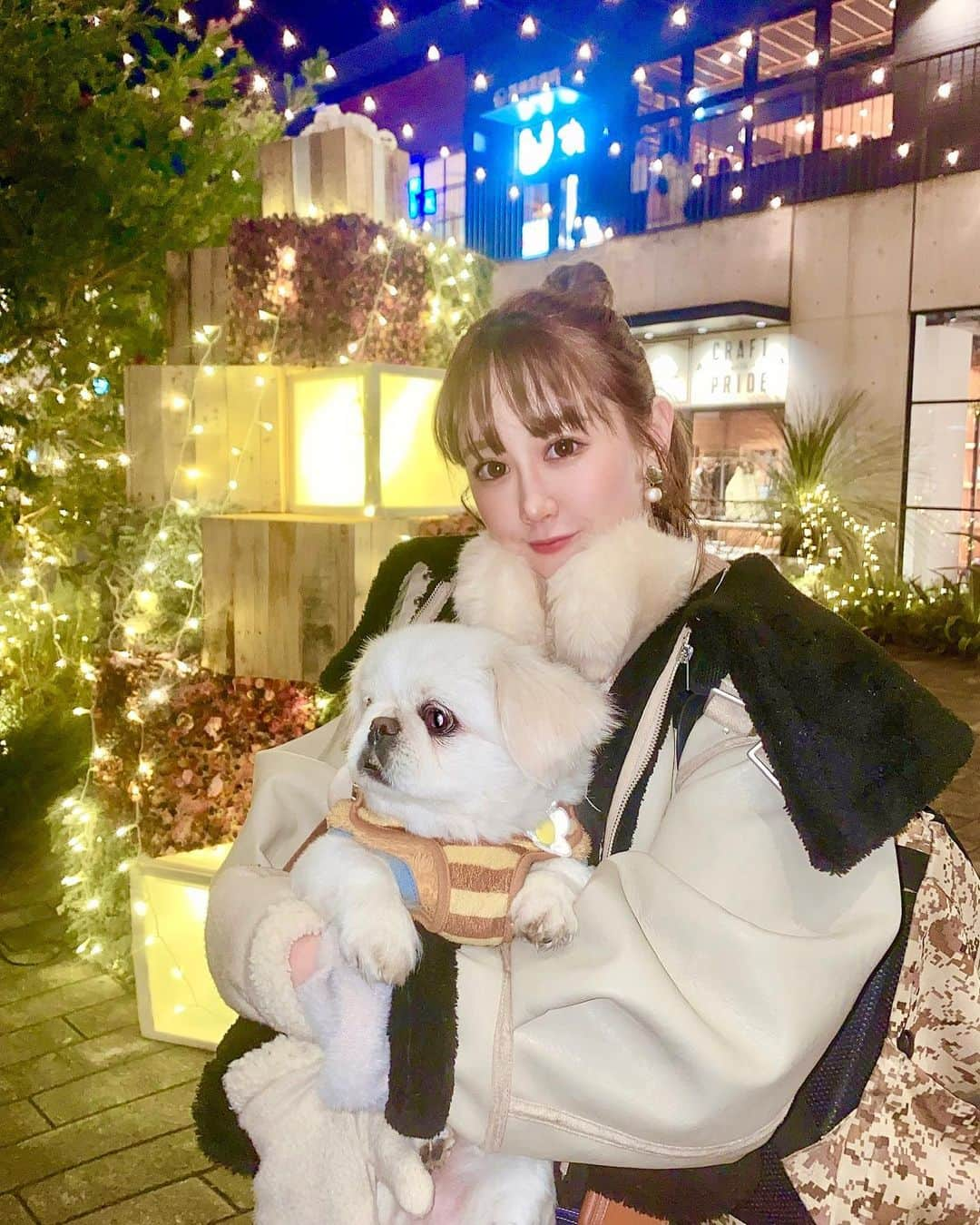 日向カンナさんのインスタグラム写真 - (日向カンナInstagram)「めぐとロケ撮影で横浜へ🎄 世はクリスマスモード！めぐはルンルンで、お散歩しておりました☺️トラベル動画サイトでアップされるのを、待っててね🤗  「親バカ」な私☺️ リュックに入れて、お顔だけ出して移動をしてると「可愛い〜🥰」の連呼を沢山の方が言ってくれます♡  そうなんです、、、可愛すぎるんです。私なんて毎日一緒にいるはずなのに、毎日愛おし過ぎて、ギューっとなる毎日です🥹✨  朝起きたら、毎日おはよう〜ってお顔にご挨拶してくれて🐶 仕事中もお尻をくっつけて隣に居てくれて🐶 お散歩の変な動きも面白くて🐶 おかえりは毎日玄関にお出迎えでハグして〜って来てくれる♡  お風呂もバリカンも嫌がらず、良い子に一緒にいてくれて。  ずっっと愛おしい赤ちゃんめぐたんのおかげで、心が優しく豊かでいられます🌼  東京で犬を飼うって、自分だけでも大変なのに大丈夫かな？って心配だったけど、今はめぐの為に頑張れてるなって、凄く思わせてもらってる☺️✨ めぐのおかげで優しい気持ちでいられるよ。  家族がいるって幸せだな🌼 犬だけど、もう赤ちゃんだよ本当👶  #犬のいる暮らし #犬バカ部 #犬好きな人と繋がりたい #犬のいる生活 #ペキニーズ #ペキニーズ大好き #白ペキ #dog #横浜 #みなとみらい #yokohama #イルミネーション #イルミネーション2022 #東京 #tokyo #東京観光 #love #モデル #モデル募集 #大人可愛い #大人女子 #大人カジュアル #followme #ダンサー　#instagood #タビジョ #japan #笑顔が一番 #エンターテイナー #ありがとう」12月14日 21時41分 - kanna_hinata