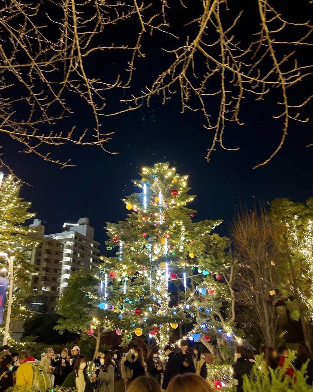 南杏奈さんのインスタグラム写真 - (南杏奈Instagram)「もうすぐ🎄🍷🍗  今年は家族がひとり増えて 初めて迎えるクリスマス🎶 たのしみ🎅🎂🤍  #東京ミッドタウン #六本木イルミネーション #クリスマス」12月14日 22時34分 - anna1031__