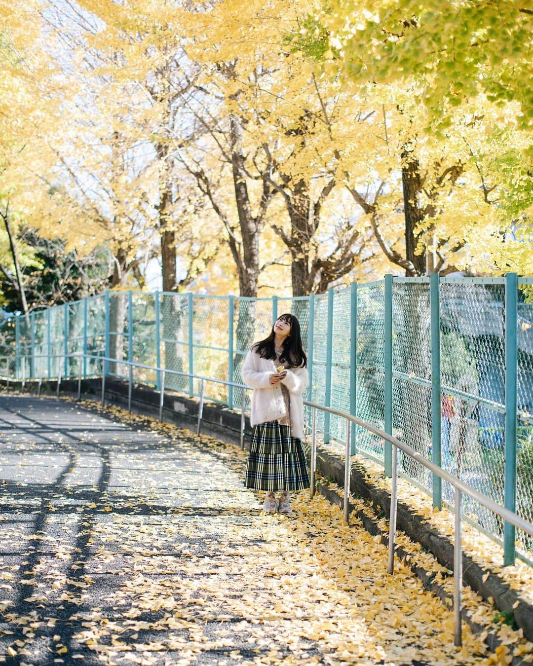 ロンモンロウさんのインスタグラム写真 - (ロンモンロウInstagram)「🍁東京の秋は金色  📷 @wm.cangmin」12月15日 19時35分 - ronmonroe_official