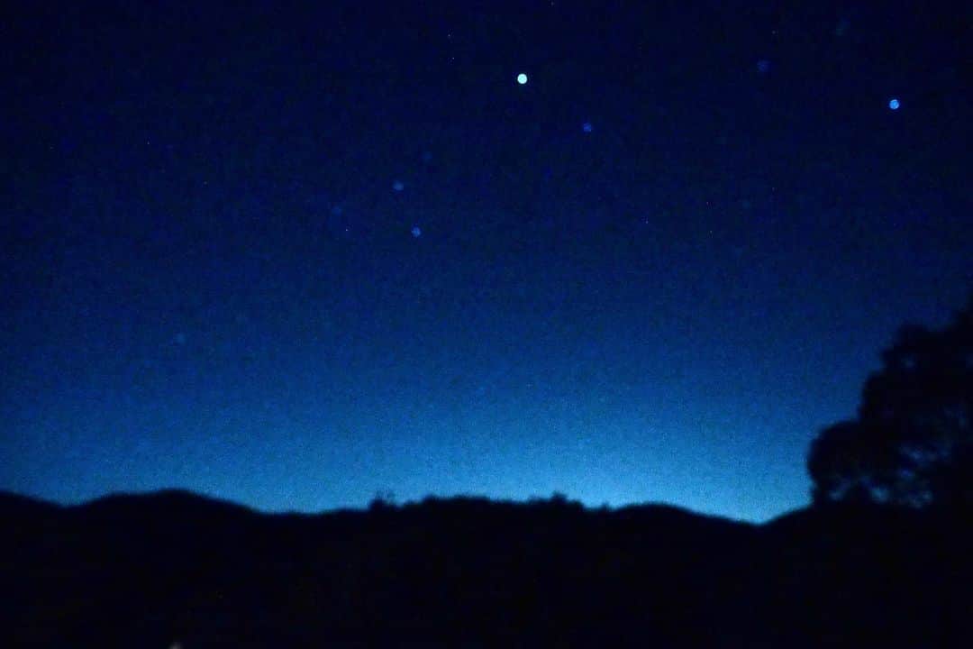 檜山沙耶さんのインスタグラム写真 - (檜山沙耶Instagram)「#ふたご座流星群 の中継は茨城県 #石岡市 にある #花やさと山 からお送りしました。 予報通りよく晴れて絶好の観測日和でした。  中継が終わってからもずっと満天の星空を眺めていました。息を呑む美しさでした💫 オリオン座と冬の大三角も発見👀また行きたいな〜」12月15日 19時36分 - sayahiyama