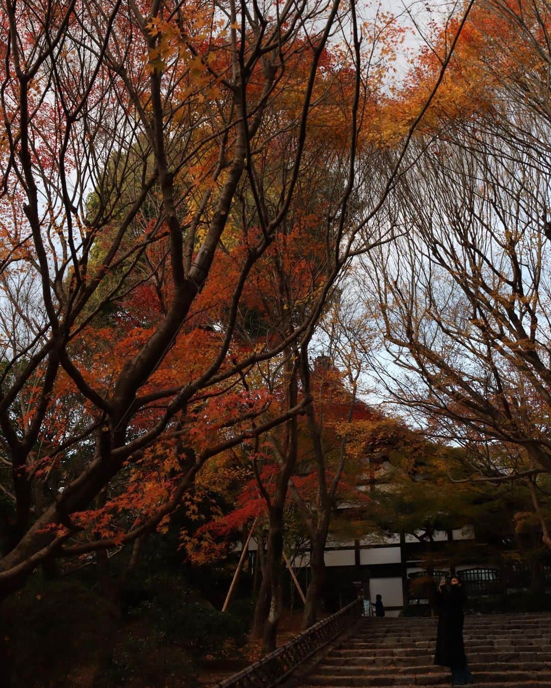 ローラさんのインスタグラム写真 - (ローラInstagram)「More more beautiful memories in Kyoto 🇯🇵🍁✨♥️」12月16日 10時53分 - rolaofficial