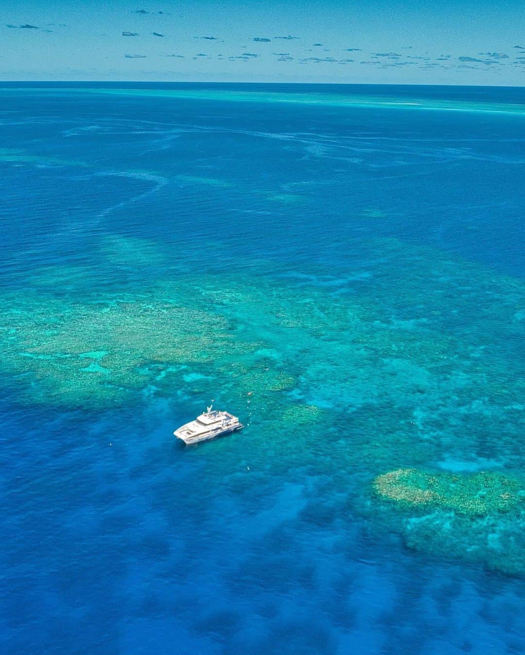 市原彩花さんのインスタグラム写真 - (市原彩花Instagram)「Great Barrier Reef🪸🐠🤿  グレートバリアリーフでダイビング🤿 @divers_den の超大きな船で快適な船旅😚  この日は無風の快晴で、最高のコンディション🌞 世界最大の珊瑚礁のグレートバリアリーフ…想像以上の綺麗さだった🪸 見どころありすぎて、とっても面白いダイビングでした！ 一瞬サメも見れたよ〜🦈✨  次は船に２泊３日泊まりこみでダイビングしたい🛳 人生で100本潜るのが目標です！(今は50本ちょい)  ラーキムは @divers_den のジミーさん(日本人)に教えてもらいながら体験ダイビング🤿 ジミーさん優しくて面白いし、ダイビングが不安な方でも安心して楽しめるよ😉  水中カメラマンはたまたまケアンズいた @jackfukushima  いつも最高の写真をありがとう📸❣️  動画はストーリーとハイライトに載せるね😆  #scubadiving#diving#greatbarrierreef#グレートバリアリーフ#ダイビング#スキューバダイビング#ケアンズ#ケアンズ大好き#Cairns#ケアンズ旅行#ケアンズ観光#cairnstravel#australia#オーストラリア#australiagram#australiatravel#australiatrip#オーストラリア旅行#オーストラリア観光#海外旅行」12月16日 16時48分 - ayaka_ichihara