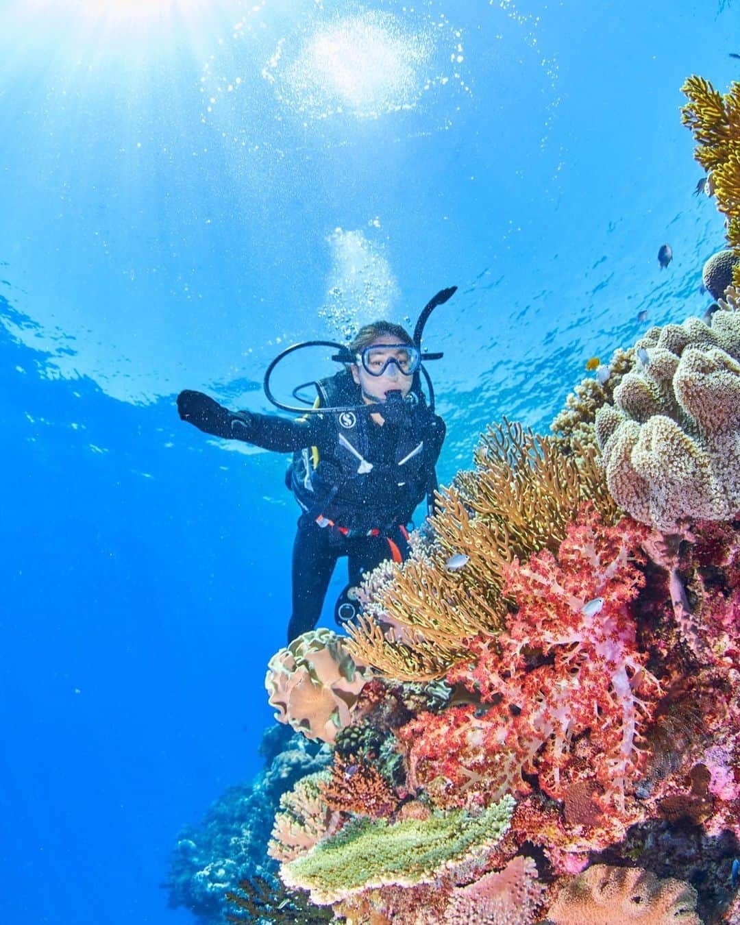 木村理恵さんのインスタグラム写真 - (木村理恵Instagram)「🐠Great Barrier Reef🪸🫧  What a Wonderful World🐠💓  世界遺産でもあるグレートバリアリーフで ダイビング🤿してきたよ🚢💙 @divers_den   ダイビングは昔一回陸上から入った経験あったんだけど、全く忘れてたから船からだし初体験🫧みたいな感じで入る前は緊張してたょ🥹🤿  日本人のスタッフ、ジミーさん(あだ名)に予め沢山教えて頂いて、しっかりサポートしてもらいながら海🌊に入ったよ❣️  ずっとついててくれてめちゃ安心😮‍💨 あーちゃんはダイビング慣れてるから スイスイ🧜🏼‍♀️泳いでたよ🥹✨すご🫶  海の中はやばい😍‼️最高‼️ 珊瑚礁🪸もラングドシャクッキーみたいな珊瑚があったり、🦈サメちゃんも居たり(すぐどっか行っちゃった🥲) ニモちゃんとか、大群の動かないお魚とか居て、テンションぶちあげ‼️ダイビング🤿ずっと怖がってたけど、 凄すぎてハマる気持ちが分かったよ💓  ジミーさんが色々引っ張ってくれるから 私は浮いてただけ(それでも必死🤣)だったんだけど、次は1人で動き回れるようになってみたいな🫰  本当にまじで来てよかった‼️‼️‼️‼️ あーちゃん本当ありがとう❤️  そしてダイビングでお世話になった　@divers_den 🦈✨ありがとうございました💙 日本人スタッフの方達が居たから本当に心強かった‼️是非グレートバリアリーフ🐠行きたかったら船も大きくて過ごしやすいしお勧めです❣️  死ぬまでに一回は是非行ってみて🐠❤️  📸by @jackfukushima  カメラマンはナオトさんが撮ってくれたよ✨ありがとうございます✨‼️  #オーストラリア #オーストラリア旅行  #greatbarrierreef #diving #divingphoto  #diversden  #ダイビング #グレートバリアリーフ  #グレートバリアリーフダイビング  #ダイビング女子 #世界遺産 #australia #cairns#cairnsaustralia #cairns#ケアンズ旅行#ケアンズ #ケアンズ大好き#ケアンズ女子旅  #australiagram #japanesgirl #女子旅 #女子旅行#海外旅行」12月16日 17時10分 - rierienari1229