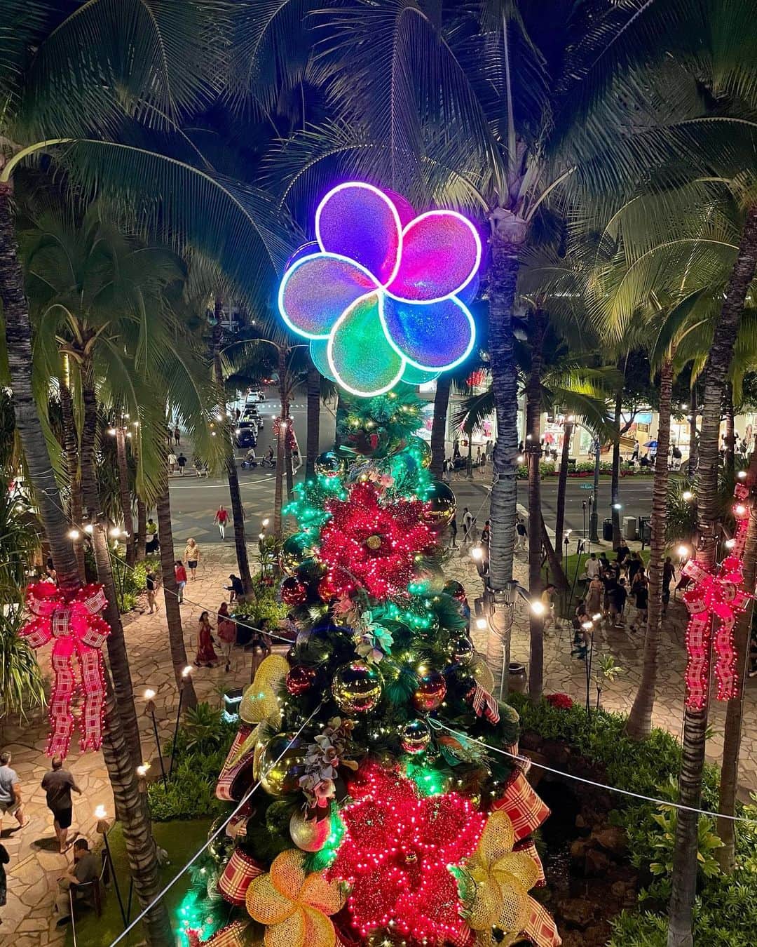 ISHIIYUKIKOさんのインスタグラム写真 - (ISHIIYUKIKOInstagram)「ハワイはクリスマスツリーで溢れてました🎄🎅  可愛いツリーがあるとついつい撮っちゃう🥺❤️  街がクリスマスモードでした♡  #クリスマスツリー #xmastree #ハワイのクリスマス #hawaiitrip #hawaiitravel」12月17日 17時59分 - ishii_yukiko