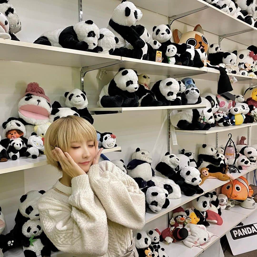 火将ロシエルさんのインスタグラム写真 - (火将ロシエルInstagram)「冬のパンダ祭り!? #パンダ」12月17日 20時12分 - kasyou3roshieru
