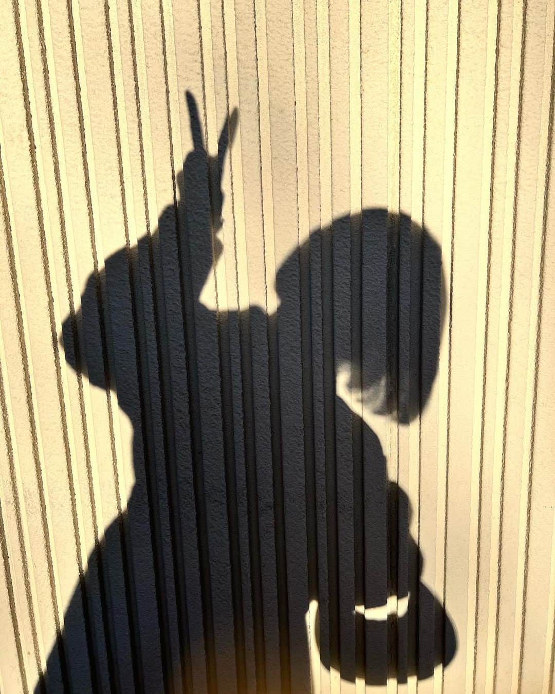 志村美希さんのインスタグラム写真 - (志村美希Instagram)「下の方のもはもははスマホケースのくまの仕業🧸」12月18日 20時00分 - mikkitygram