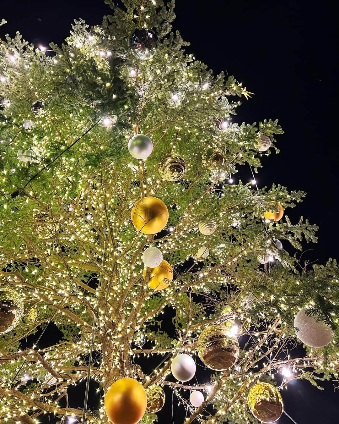 桃乃木かなさんのインスタグラム写真 - (桃乃木かなInstagram)「クリスマスマーケット🎄  初めて横浜赤レンガ倉庫の クリスマスマーケットに行ってきました！ 人はやっぱりすごかったけど、 この賑やかさがイベントを盛り上げてくれるよね〜  みなとみらい自体が綺麗なので キラキラな景色に心躍りました🎅  #クリスマスマーケットin横浜赤レンガ倉庫  #クリスマスマーケット」12月19日 19時03分 - kana_momonogi