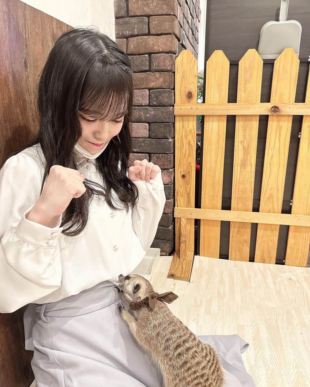 岩田陽菜さんのインスタグラム写真 - (岩田陽菜Instagram)「ミーアキャットとハリネズミと触れ合ったよ~ 🦔⸒  ミーアキャットちゃんとは初めての触れ合いだっけど可愛かった🤭」12月20日 19時06分 - hina_naso_stu48