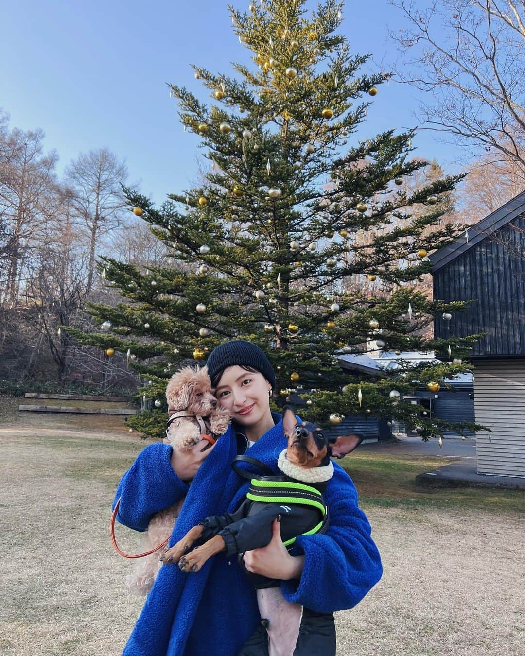 Julia Castroさんのインスタグラム写真 - (Julia CastroInstagram)「軽井沢旅🌲♡  ノエル君のちょっと遅めのお誕生日旅行ということで、1泊2日で軽井沢に行ってきました❄️  軽井沢はわんちゃんに優しいスポットが多くて過ごしやすかった👏🏻 ノエルとジャックも楽しかったって思ってくれてたらいいな🫶🏻 また皆んなでどっか行こうね🐶🐶 昨日載せたYouTubeも是非ご覧ください🌲 . #karuizawa #japan #myboys #puppy  #dogs #brothers  #trip #travel #軽井沢 #旅 #軽井沢旅行 #国内旅行 #愛犬 #ドライブ」12月20日 20時54分 - julia.c.0209