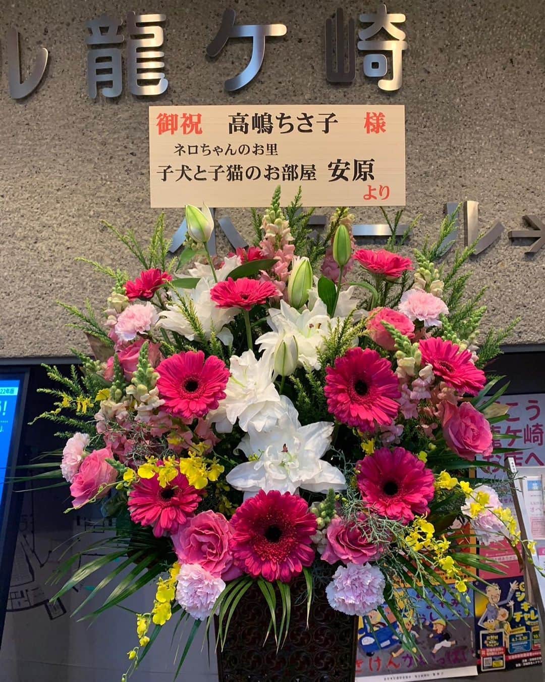 高嶋ちさ子さんのインスタグラム写真 - (高嶋ちさ子Instagram)「凄いけど笑っちゃう人達 全力で一芸頑張ってます  また12人との対決が楽しみです  今日はネロが産まれた場所が近くて、ブリーダーさんからお花まで頂いちゃいました。  今日のホールは男性のお客様が多かったです。  ありがとうございました😊」12月20日 22時47分 - chisakotakashima