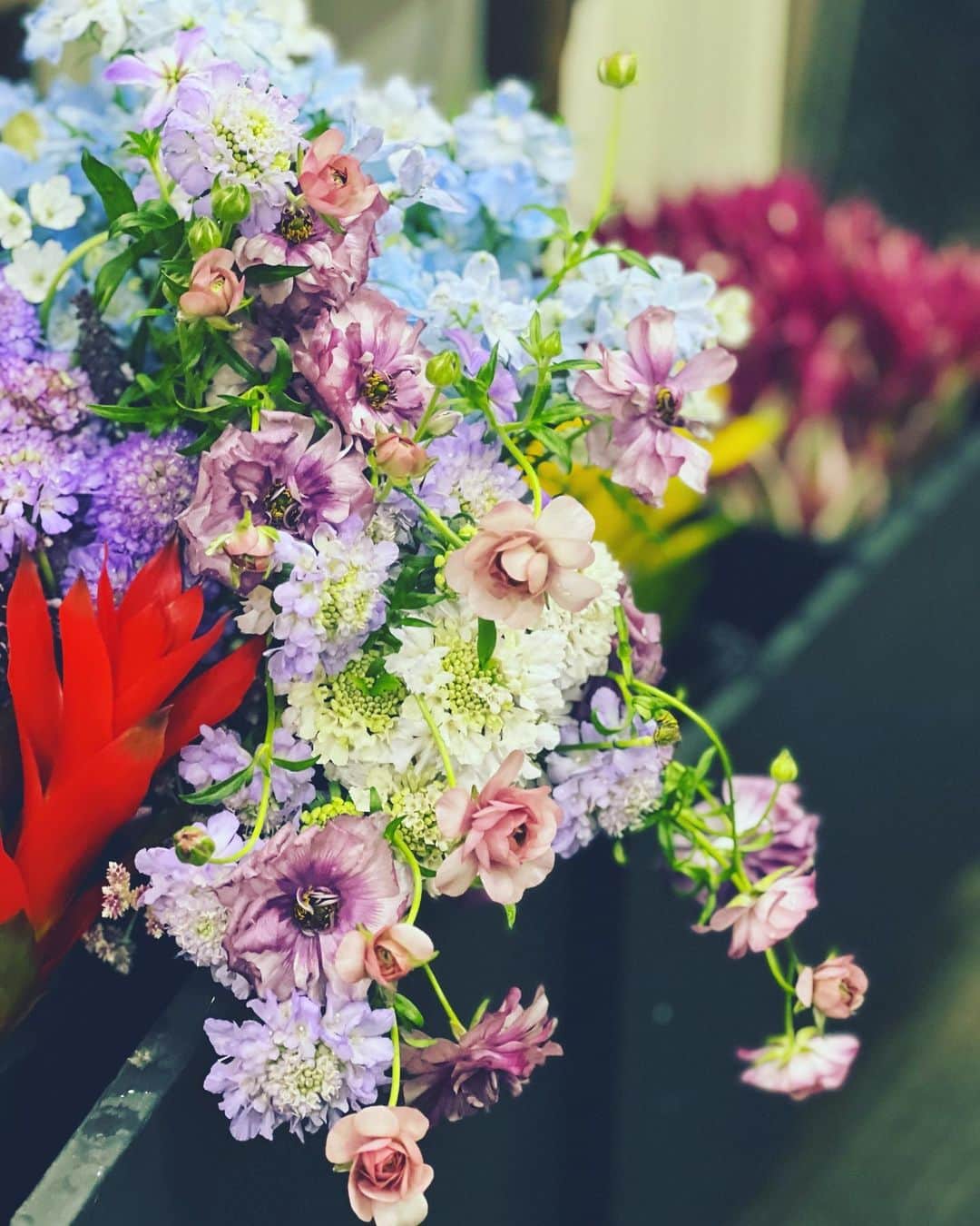 神崎恵さんのインスタグラム写真 - (神崎恵Instagram)「🌸 おはようございます。 冷たい朝です。 週の半ば、ため息がでてしまいがちな水曜日。 ここは、頑張らず、静かに平坦に淡々と。 そんな意識でいくと、丁度よく過ごせる気がしてます。 母や叔母、大切なひとたちに贈る花をえらびにいきました。 お花の瑞々しい姿や香りは、深呼吸にいいものです。 特に、花器から溢れ咲く花々の姿に惹かれます。 今日もテトリスのような日程だけど、 平常心。でいってきます🌿 あたたかくしてお出かけください☺︎  #神恵花」12月21日 8時17分 - megumi_kanzaki