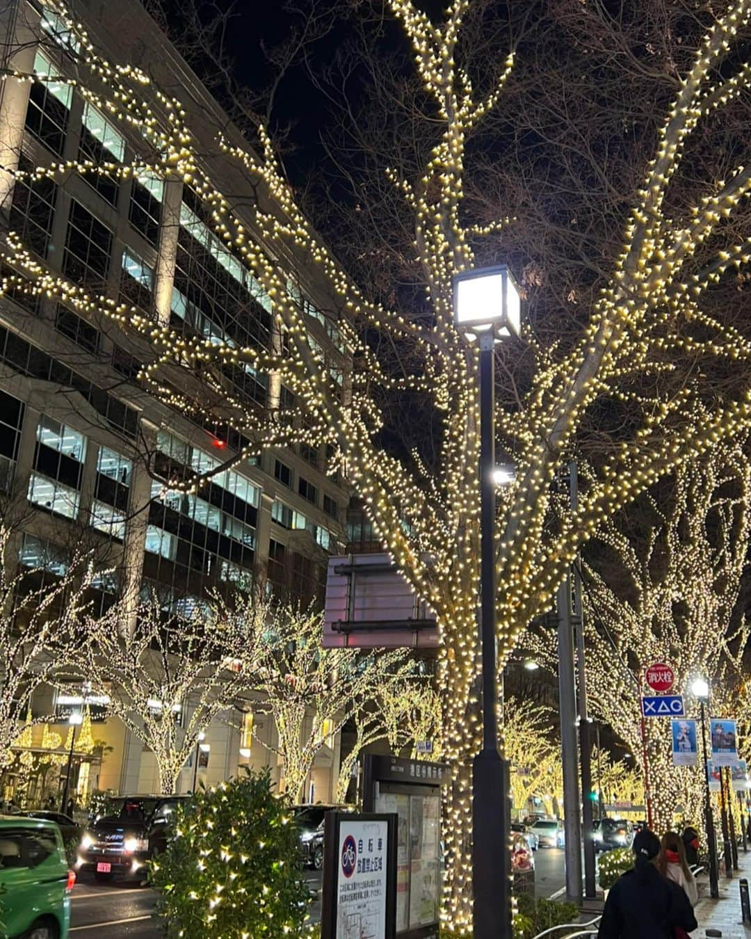 佐野真彩さんのインスタグラム写真 - (佐野真彩Instagram)「#jomalonelondon ⛄️❄️🎄  🧥👕 @stunninglure  👖 @jackwolfskin.jp  👢 @toryburch」12月21日 9時56分 - sano.maya