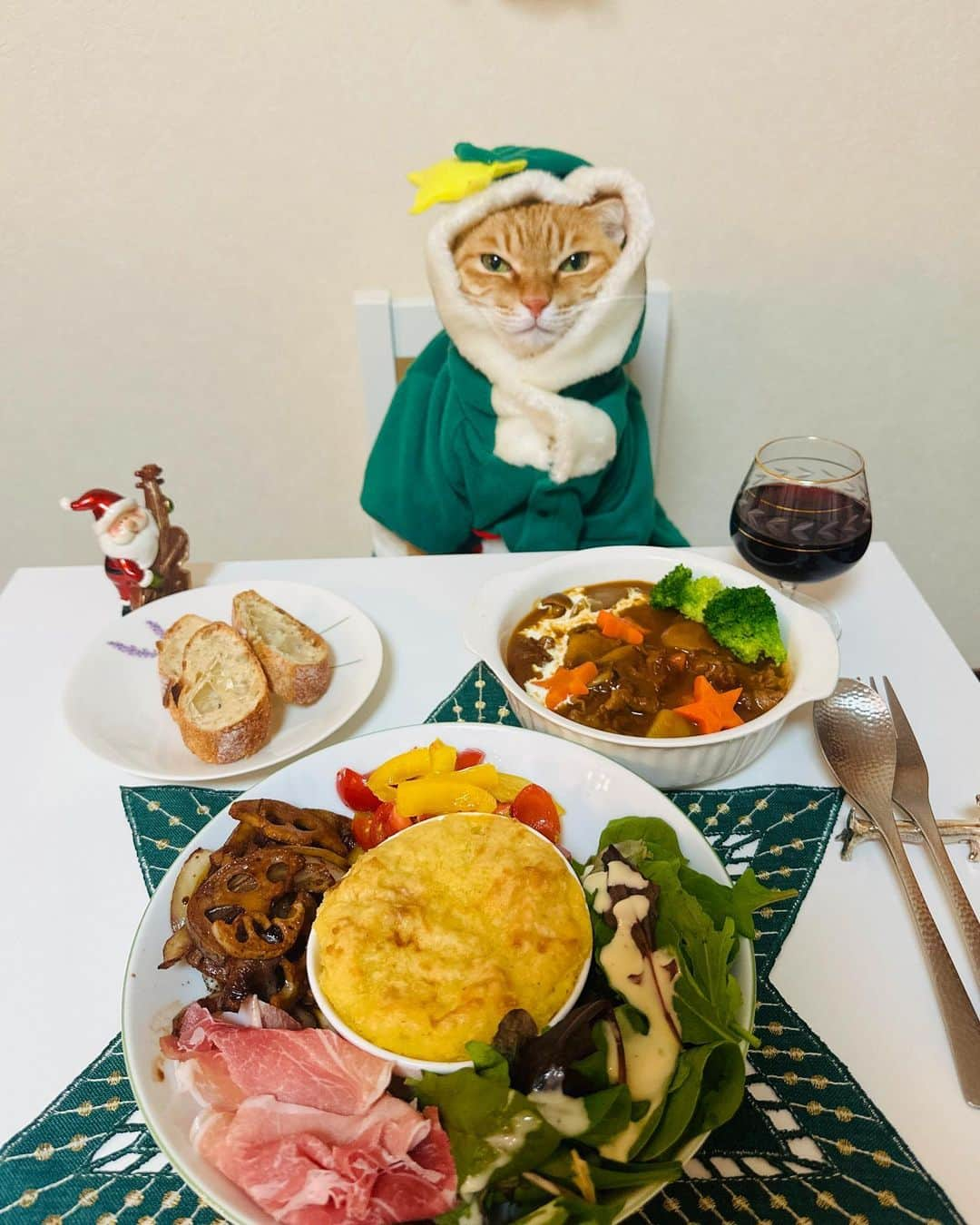 マロさんのインスタグラム写真 - (マロInstagram)「🎄もうすぐクリスマスメニュー🎵🎄 ✴︎ ・ホリデーを彩る！5種のDELI @oisix  (5 kinds of deli to color the holiday) ・ビーフシチュー (Beef Stew) ✴︎ いつもコメントありがとうございます😸🙏💕 全て拝見しています🐾 ✴︎ Thank you for your kind comments😸🙏💕 ✴︎ #cat#cats#catsofinstagram#😻 #sweetcatclub#food#wine#猫 #ねこ#ねこすたぐらむ#ねこ部 #kitoisix#kitoisixプレミアムモニター  #料理#クリスマスメニュー」12月21日 18時31分 - rinne172