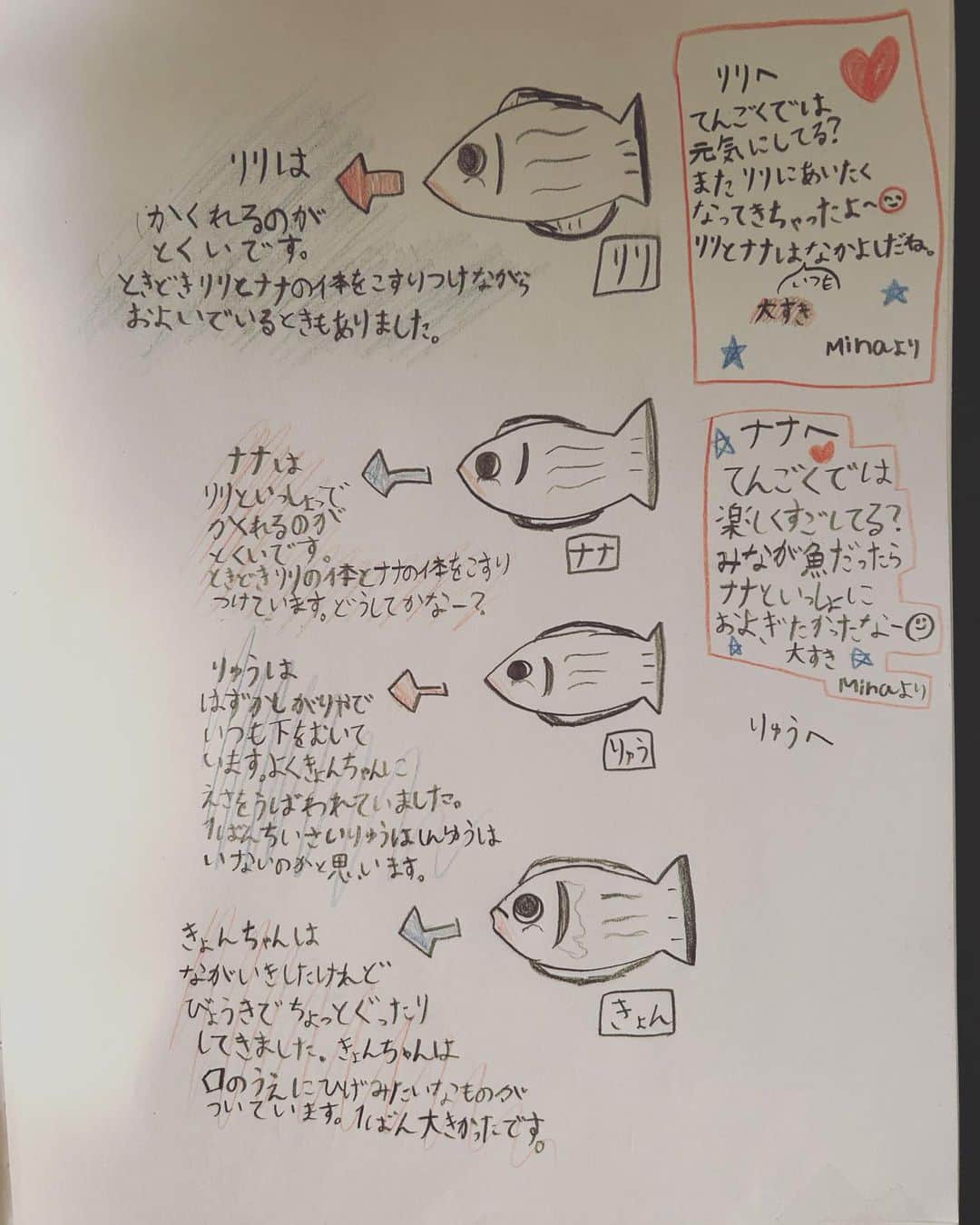 中岡由佳さんのインスタグラム写真 - (中岡由佳Instagram)「❇︎ Mina、あなたは本当に優しい。天国に逝ってしまった4匹の金魚の事を、自由帳の最後のページに書いていた✏️ 1匹目はお祭りの金魚すくいで我が家にやって来たキョンちゃん。それからリリを買って来て、ナナ、リュウが仲間入りして4匹飼っていた。Ryutoも可愛いと触っていた。ある日一番小さかったリリが元気がなく隠れるようになり、死んでしまった。その後しばらくしたら元気だったナナとリュウも死んでしまった。最後に生き残ったキョン、いつも追いかけ回して元気だったのに、仲間がいなくなり寂しくなったのかおとなしくなった。本格的に水槽にポンプを入れていなかったので、水は毎日取り替えていたけれどやはり水槽の環境が整っていなくて病気になってしまったのかもしれない。ごめんね。 Minaは最後のきょんが、小学校から帰宅した時に玄関で自分の方を見て天国に逝ってしまった姿を見て、部屋に入って来た時に無表情で涙を浮かべていた。Minaを待ってくれていたかのように後光がさして美しいお別れだった。おじいちゃんおばあちゃん家の花壇にお墓をつくって眠らせて手を合わせていました。 1ヶ月半くらいの金魚との生活だったけれど生き物を観察し気持ちを考え向き合うことが出来たのは良かったなと。金魚とお話ししているような言葉。このノートを見て私も涙が出た。 #goldfish #memory  #note #8y4m  #japanese」12月23日 10時21分 - yuka_nakaoka