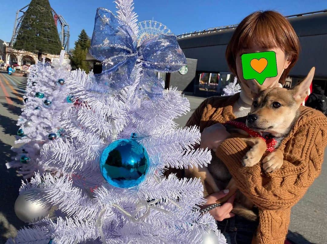 紗倉まなさんのインスタグラム写真 - (紗倉まなInstagram)「🐶🚗」12月23日 16時33分 - sakuramanateee