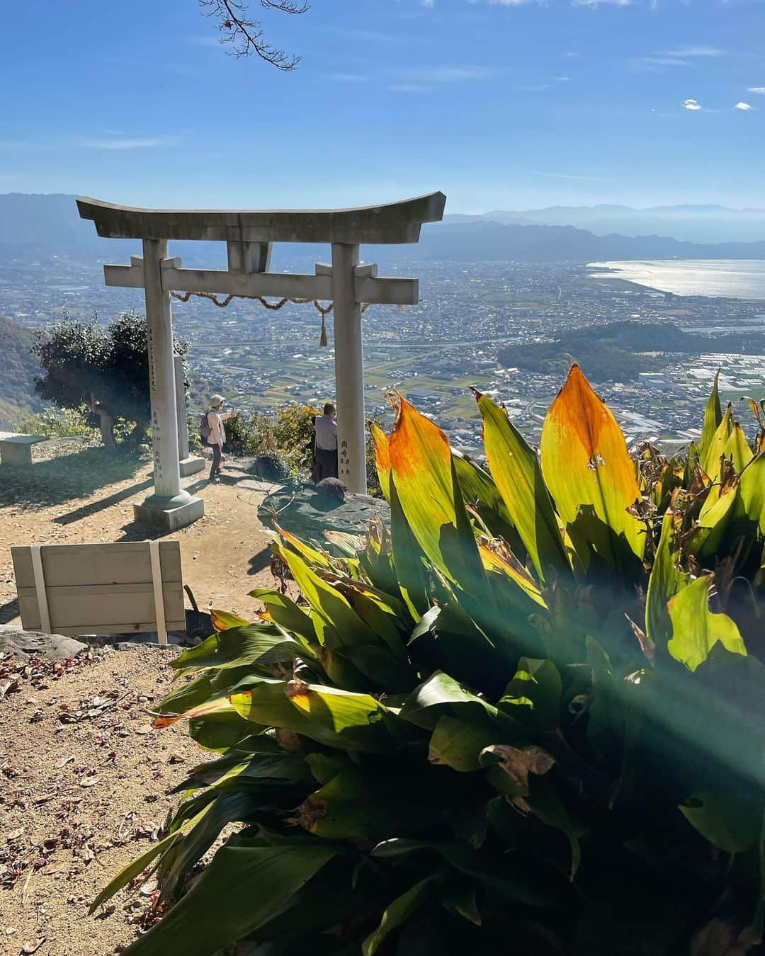 南原清隆さんのインスタグラム写真 - (南原清隆Instagram)「天空の鳥居　高屋神社⛩  山の頂きにある寺社 地元の人も昔から参拝するパワースポットです。 麓から車で30分位登ります。 （あ、車道が狭いのでなるべく小さな車や タクシーで行くのをお薦めします） そこから5分程急な坂を歩いて向かうと、 ホントに空の上に浮かんでいるような 清々しい気分になる神社が迎えてくれます。 自動販売機でお守りなども買えますよ😊  同じ写真を二枚あげてしまいました💦 すいませんでした🙇‍♂️  #天空の鳥居 #高屋神社 #南原清隆 #松陰寺太勇  #王林」12月23日 23時03分 - nanchan_official_