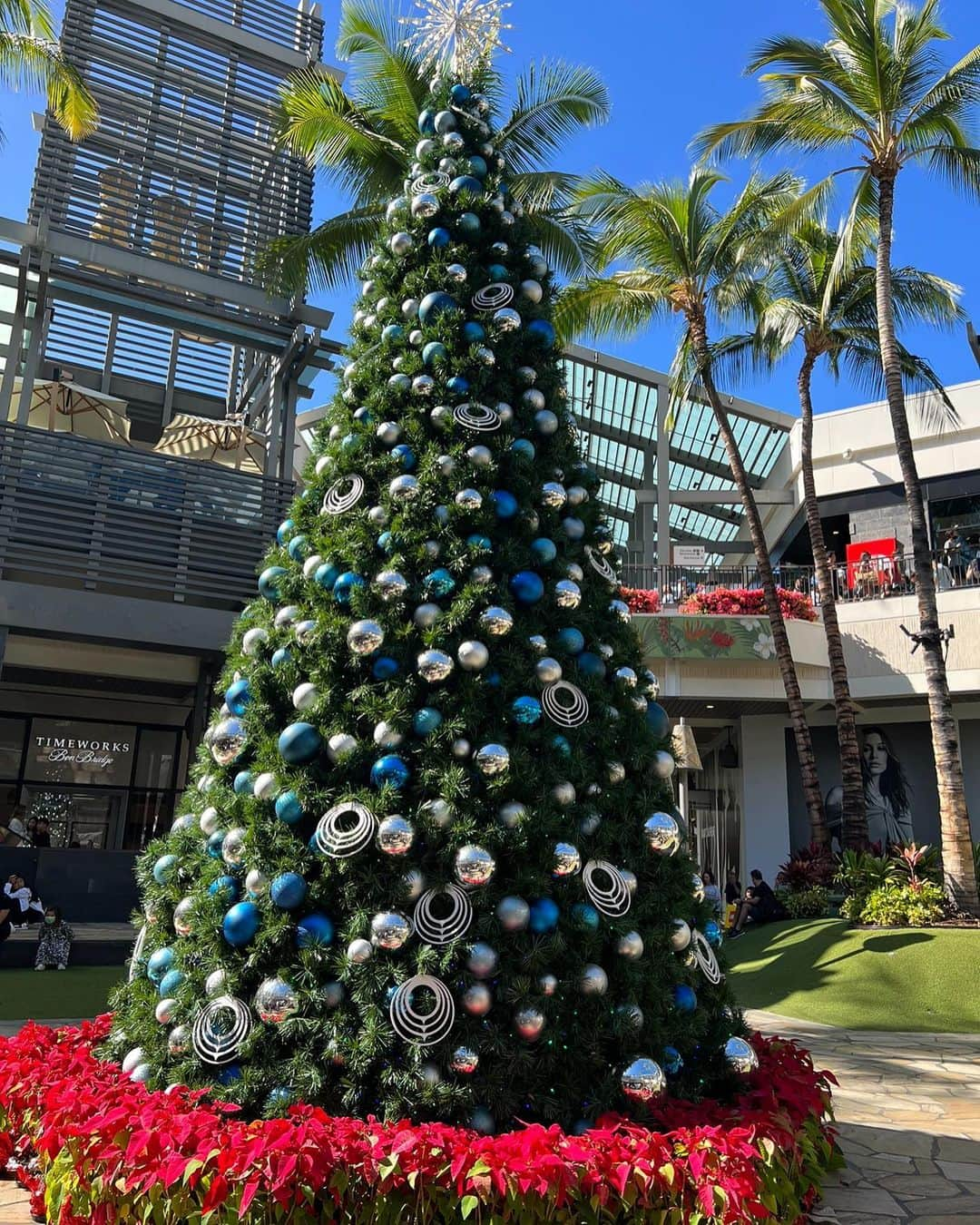 庄司ゆうこさんのインスタグラム写真 - (庄司ゆうこInstagram)「メリークリスマス🎄🎁✨ ハワイでクリスマスツリーをいっぱい撮ったので一挙大公開❣️ 1枚目ロイヤルハワイアンセンター 2枚目アラモアナショッピングモール 3枚目モアナサーフライダー 4枚目ハレクラニ 5枚目ハイアットリージェンシー 6枚目ロイヤルハワイアンホテル 7枚目カハラモール  7枚目はヨガウェアでクリスマスツリーってなんか面白いね🤣 皆さんにとって素敵なクリスマスに なりますようにっ🧡 #メリークリスマス#クリスマス#メリクリ#クリスマスイブ#クリスマスツリー#ハワイ#ワイキキ#ハワイ旅行 #ハワイ好きな人と繋がりたい#christmas#christmastree #christmastime #hawaii#hawaiian」12月23日 23時29分 - yuko.shoji