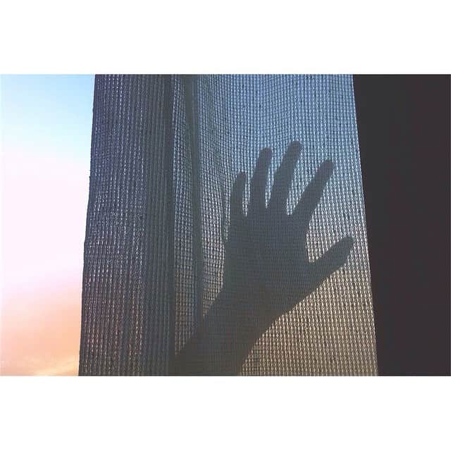 藤沢直希さんのインスタグラム写真 - (藤沢直希Instagram)「朝色グラデーション。  #goodmorning #tokyo」4月29日 7時32分 - naokifujisawa