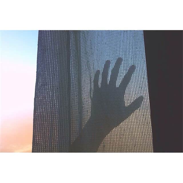 藤沢直希のインスタグラム：「朝色グラデーション。  #goodmorning #tokyo」