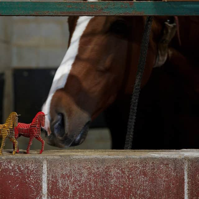 d-torso USさんのインスタグラム写真 - (d-torso USInstagram)「#dtorso #3d #jigsaw #puzzle #figurines #fun #making #madeinJapan #love #horse」5月14日 3時08分 - d_torso_us