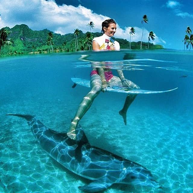 ✈MyTravelGram™のインスタグラム：「Buddies✨」