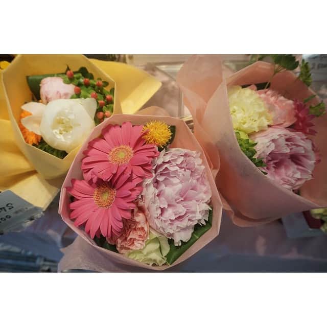 ルナ・マヤのグルメインスタ