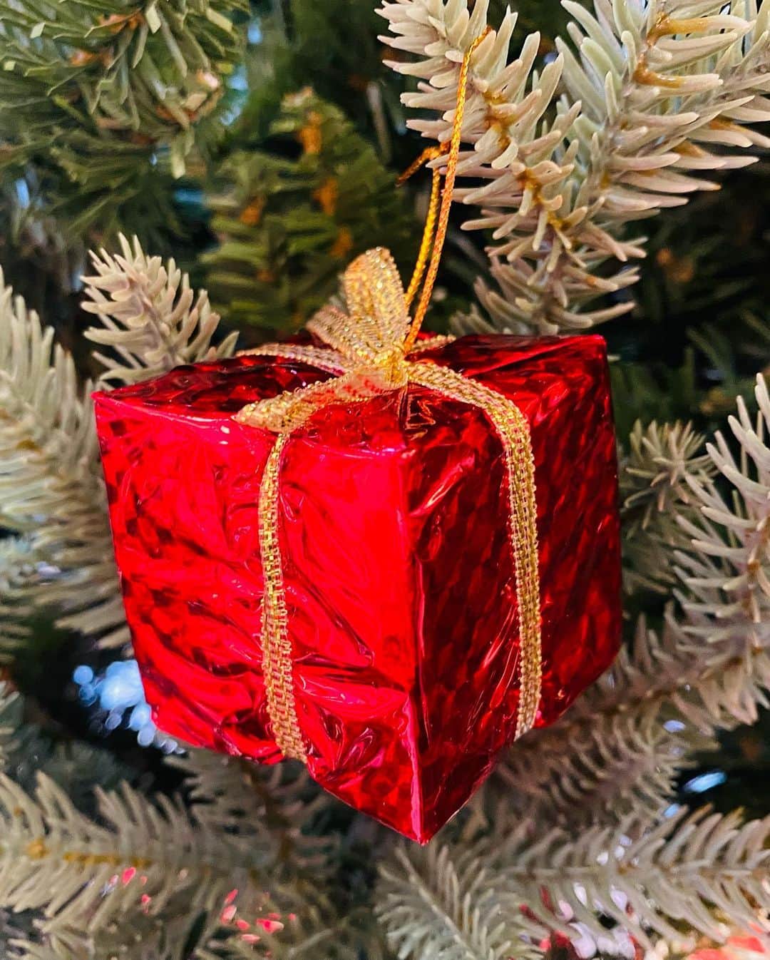 田野アサミさんのインスタグラム写真 - (田野アサミInstagram)「🎄🎁❤️ Merry Christmas！！！ いつかの私🫡☀️✨ 皆のクリスマスが素敵な日になります様に👏 #田野アサミ#asamitano#🎄 皆の愛溢れるたくさんのコメントがめちゃくちゃ素敵なプレゼント🎁になりました！ ありがとう！！」12月25日 8時48分 - tano_asami