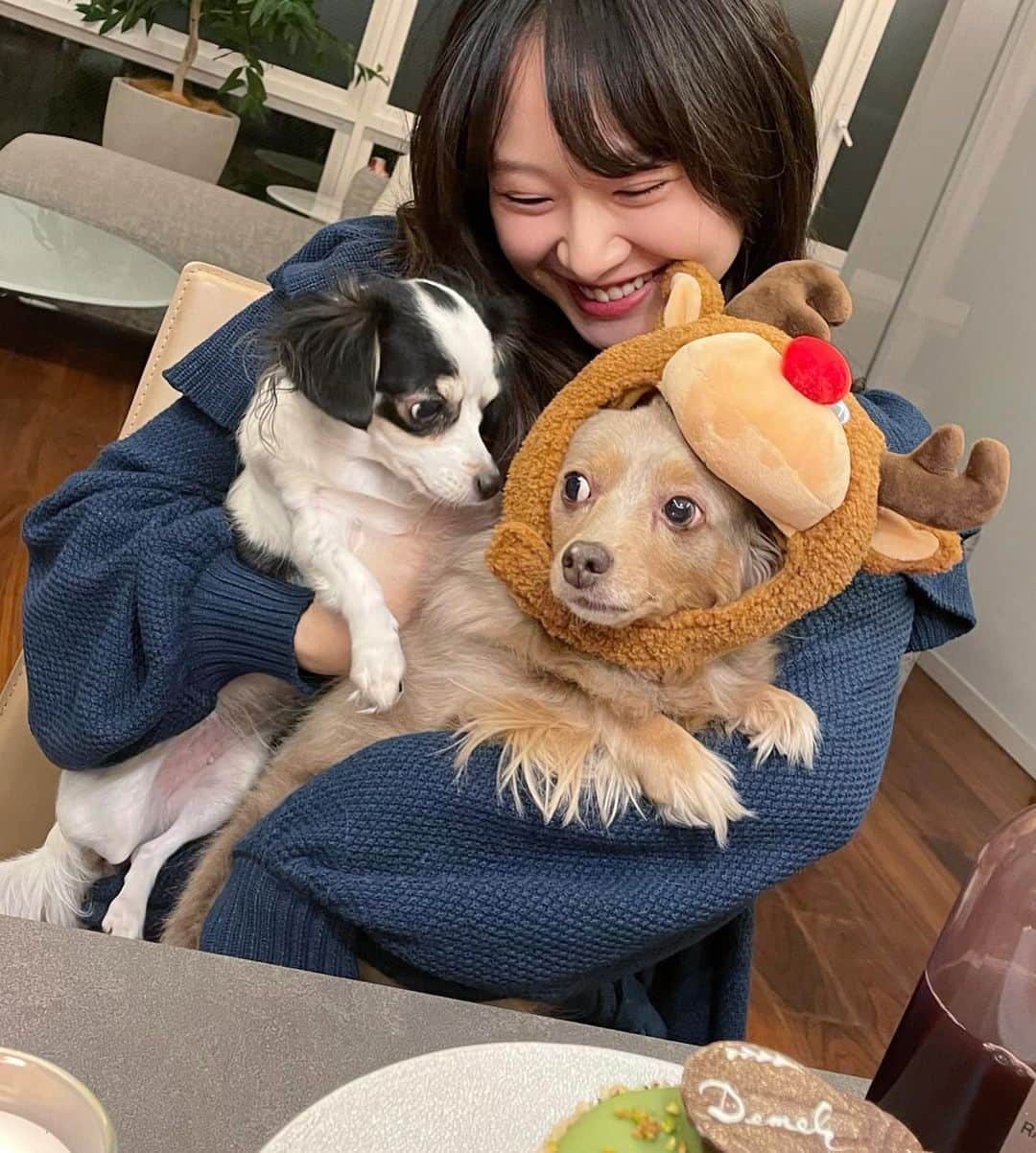 西川瑞希（みずきてぃ）さんのインスタグラム写真 - (西川瑞希（みずきてぃ）Instagram)「Happy Merry Christmas, with lots of love…🎄🎂❤️  おうちでまったりなイヴとクリスマス。昨夜はご飯食べてから映画鑑賞してほっこり☺︎  "天使のくれた時間"を見たのですが、本当のしあわせとか、愛に気付ける素敵な作品でした❤︎ほんわか気分になれるものがすきです//  ティアちゃんのトナカイお帽子も。可愛すぎて思わず笑ってしまいました✨  #christmas #christmaseve #happytime #christmasparty #dinner #クリスマス #クリスマスパーティー #家族の時間 #ティアリリー #映画鑑賞」12月25日 12時44分 - mizuki_nishikawa_