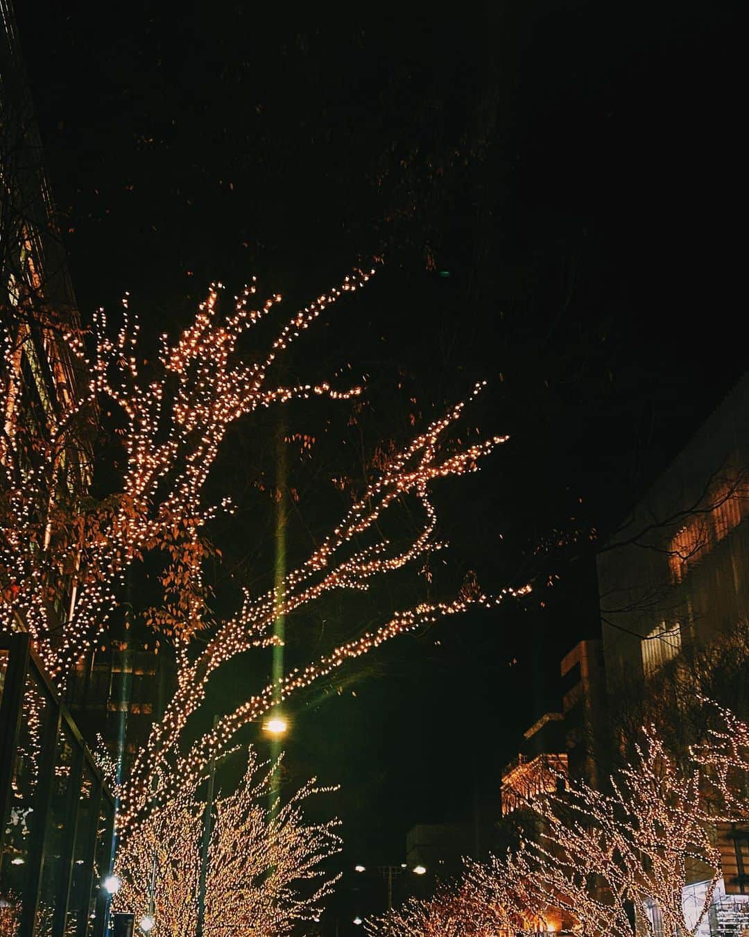 林田岬優さんのインスタグラム写真 - (林田岬優Instagram)「Merry Christmas🏠♡👼🏻♡🎄」12月25日 14時27分 - miyu_hayashida
