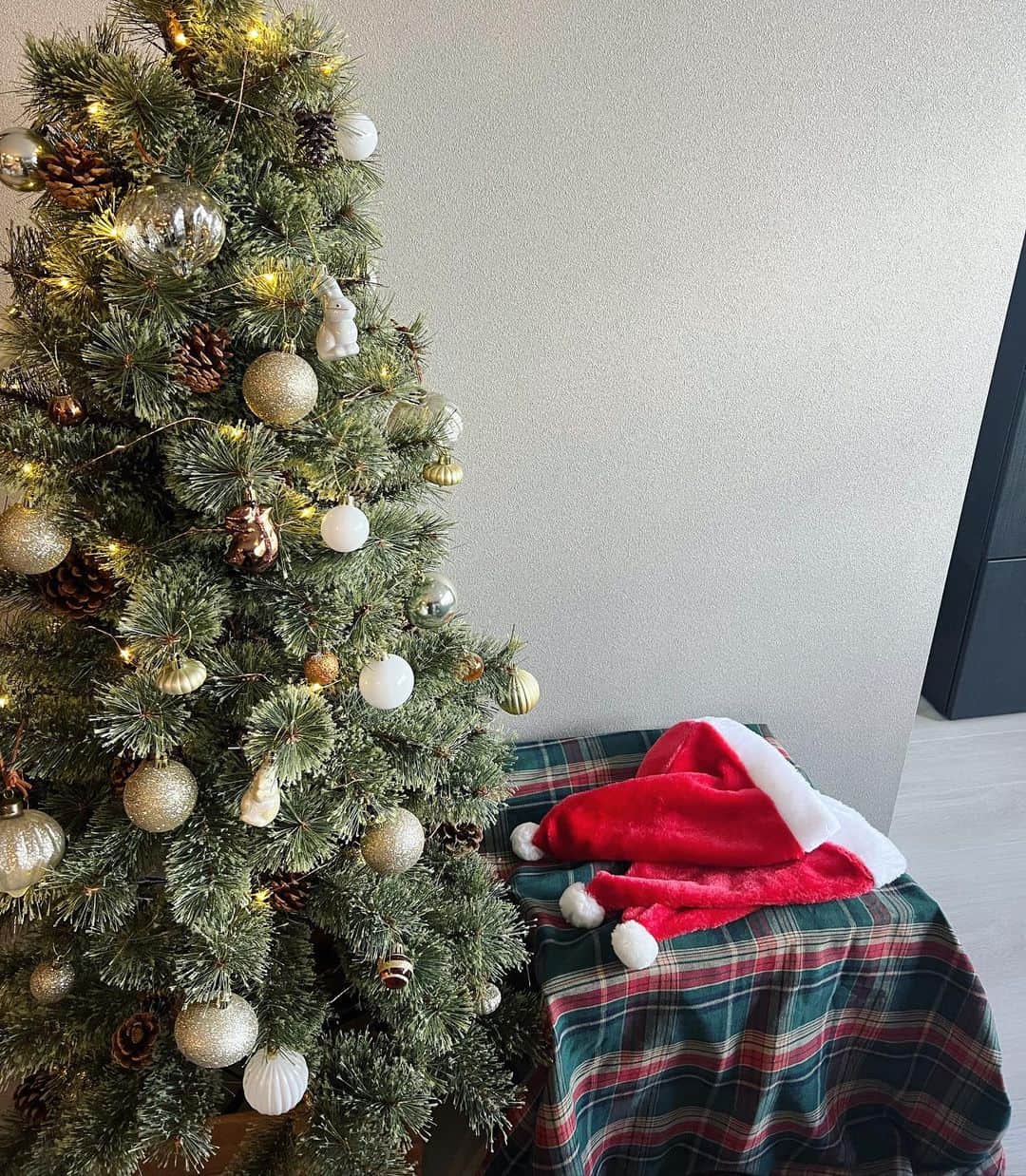 渋谷凪咲さんのインスタグラム写真 - (渋谷凪咲Instagram)「Merry Xmas lunch🎄🍽✨  #親戚皆んなで集まって #クリスマスランチしました〜🍗笑 #楽しかった〜♡ #お昼はパーティー♡ #夜はお仕事♡ #いいとこ取り #最高クリスマスです！ #サンタさんありがとうございます🎅🏻🦌🌟笑 #クリスマス #クリスマスパーティー #メリークリスマス です🌈」12月25日 15時48分 - nagisa_nikoniko