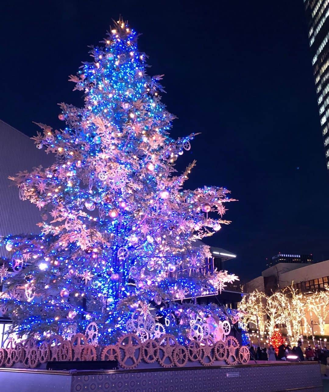 野澤しおりさんのインスタグラム写真 - (野澤しおりInstagram)「メリー クリスマス🎄.*  ピンクと青のツリー 綺麗でした✨  #メリークリスマス #イルミネーション #冬休みになりました #野澤しおり」12月25日 21時27分 - n_shiori_ta