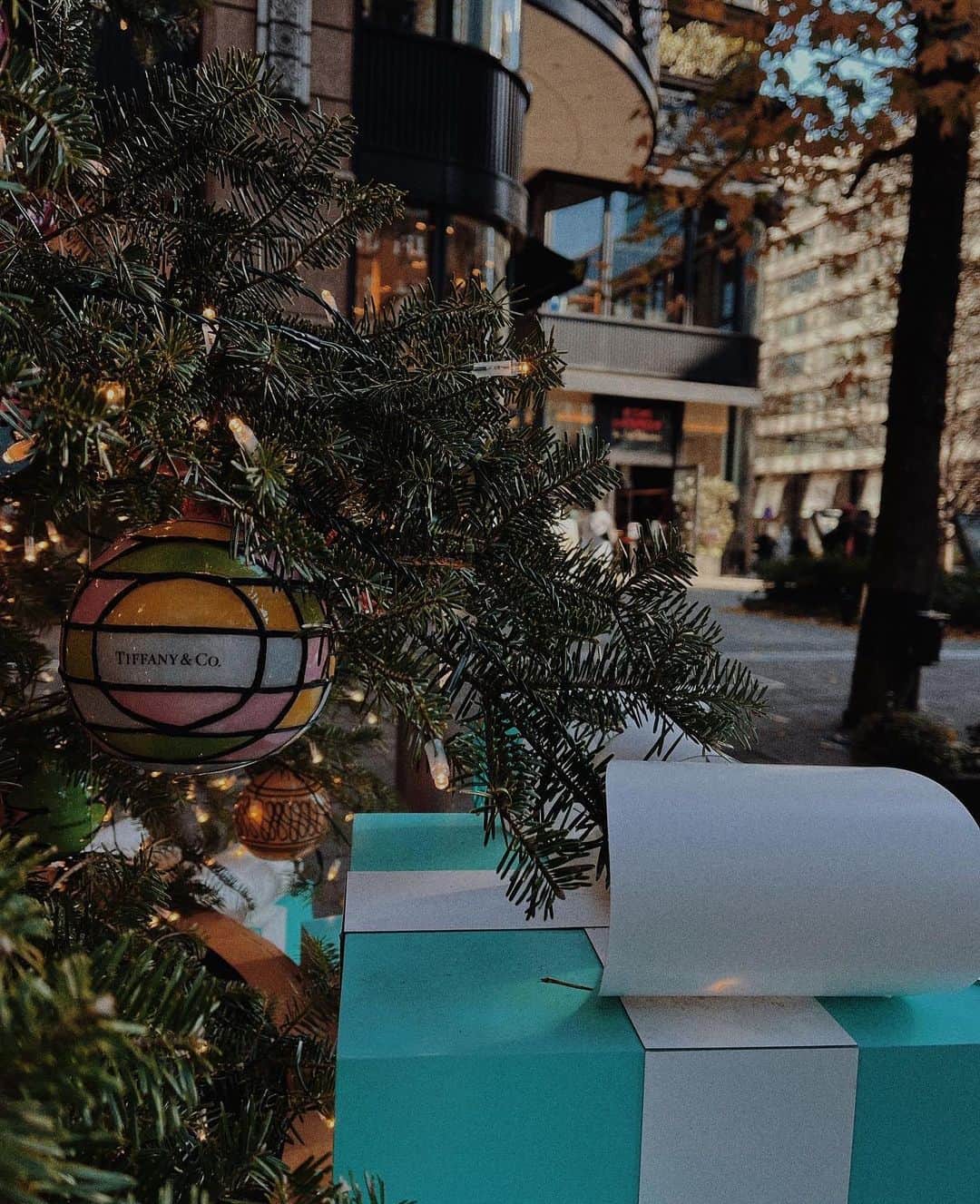 若本美夏海さんのインスタグラム写真 - (若本美夏海Instagram)「Merry Merry Christmas🤍  みなさん素敵なクリスマスを🌙」12月25日 23時07分 - minami_wakamoto