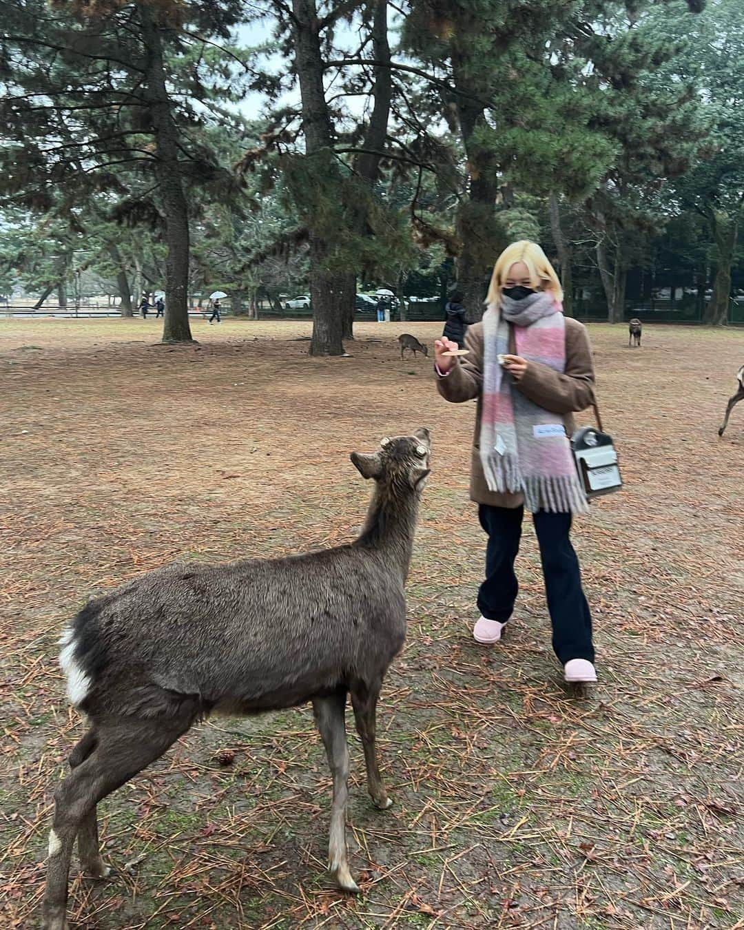 ダヨンさんのインスタグラム写真 - (ダヨンInstagram)「피리부는 임다영 🦌🎷」12月28日 0時25分 - dayomi99