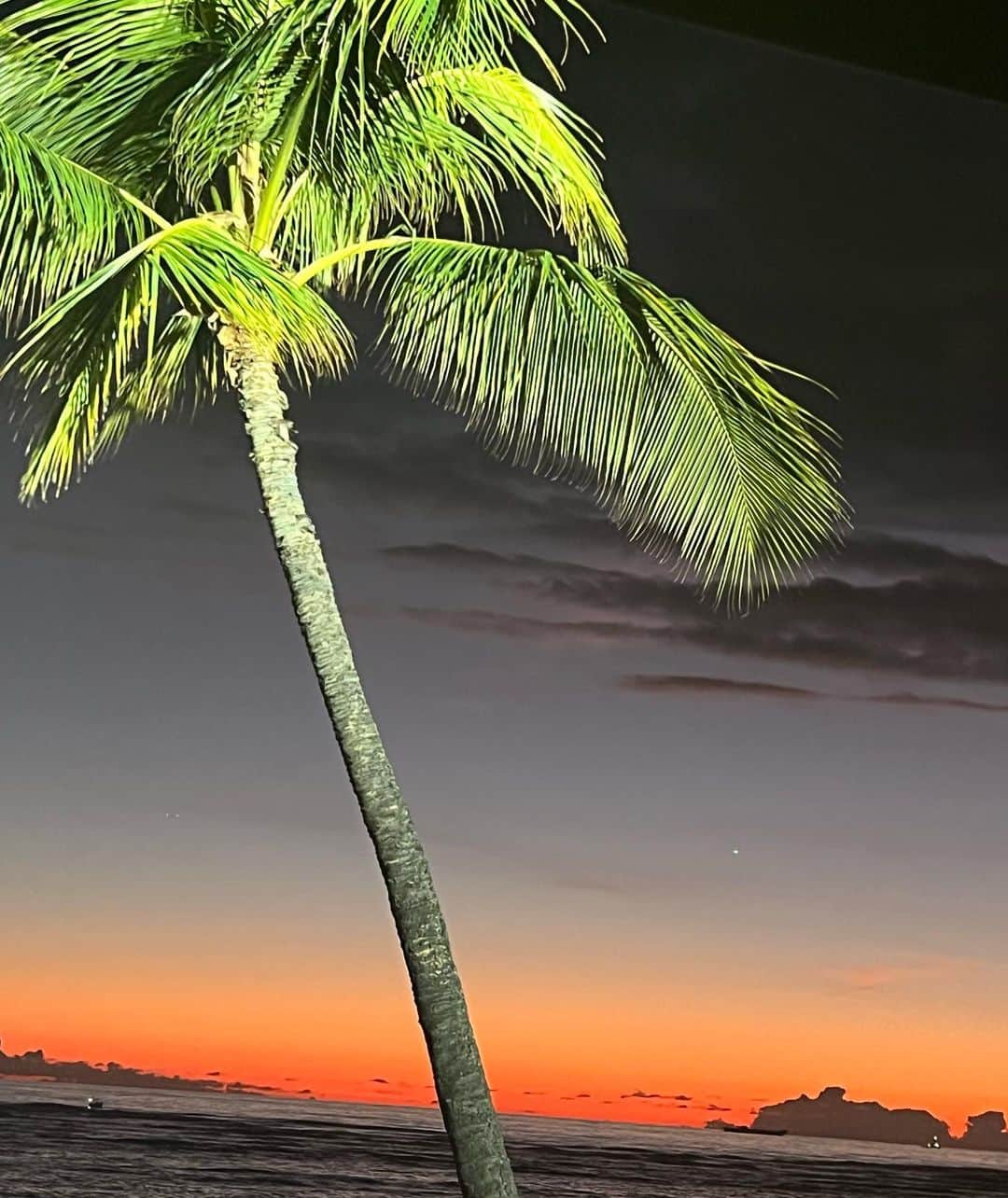 和央ようかさんのインスタグラム写真 - (和央ようかInstagram)「Beautiful Sunset for Hawaii Christmas Dinner 🎄🎅🍾🙏  2022年のクリスマスサンセットも本当に美しかった… 色々な事が日々起こるけど… たまに、いや、しょっちゃうびっくりしたり凹んだりするけど…  ありがとう  2023年が平和で健康で沢山の笑いに包まれる年になりますように  Very Merry Christmas 🎄   いつか皆様と一緒にこの美しいサンセットを見たいな  #takakoworldstylin🌎 #takakohawaiistylin🏝 #lifestyle#hawaii#hawaiife #christmas #ハワイ#ハワイ生活#クリスマス#sunset #サンセット #yokawao#和央ようか」12月28日 6時14分 - yokawao0215