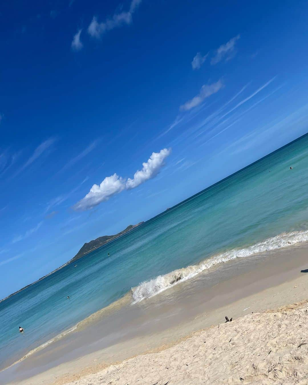 大草直子さんのインスタグラム写真 - (大草直子Instagram)「マヤがこんなに水の中🏝が好きだったとは🐟🐠岸壁に打ち付ける波をかぶって、ローカルの友達と、ずっと遊んでる。かわいいなあ。子供たち。ひなこは無事に、ニューヨーク🗽から、パパのところに😎 #🐈は実家で #元気にしています #従兄弟に可愛がってもらい #少し丸くなったように #見えますが」12月28日 7時58分 - naokookusa