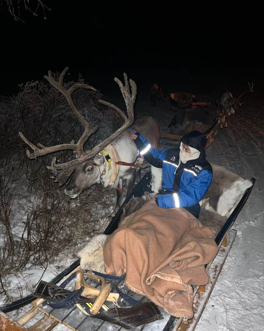 東野佑美さんのインスタグラム写真 - (東野佑美Instagram)「📍Rovaniemi, Finland トナカイにソリを引いてもらって 一緒に凍った湖の上を夜散歩🦌🛷❄️❤️💚  #フィンランド #ロヴァニエミ #トナカイ #ヨーロッパ周遊  #finland #rovaniemi #apukkaresort #traveltheworld #travellife」12月28日 20時41分 - yumi.higashino